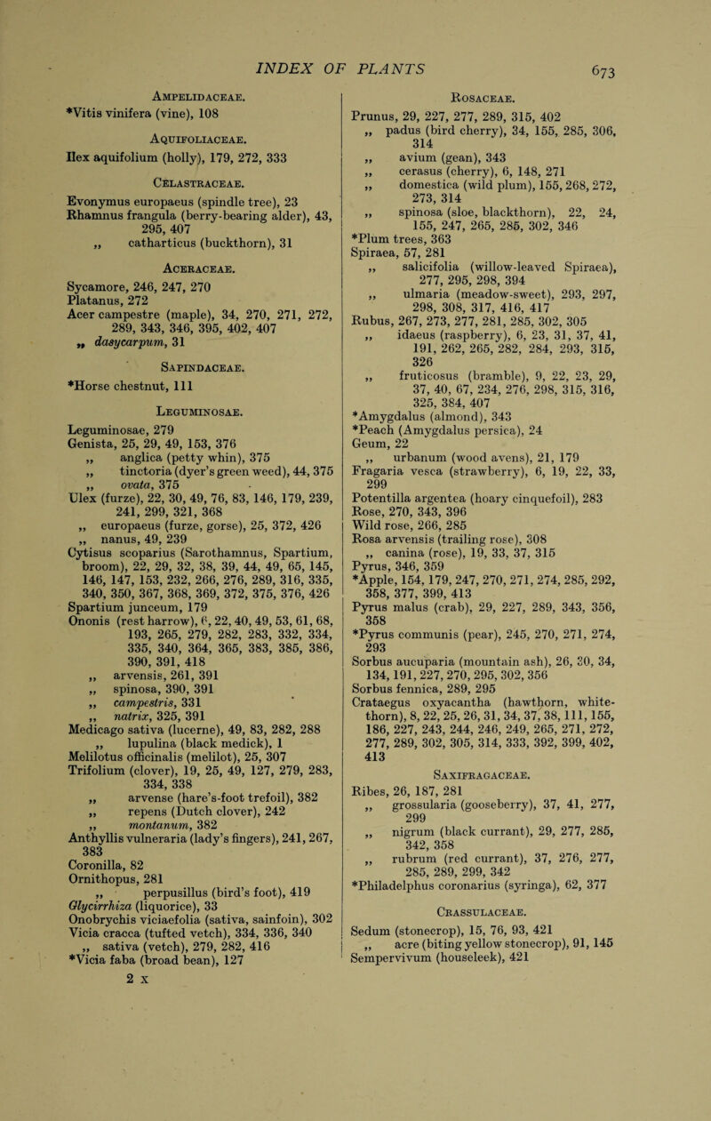 Ampelidaceae. *Vitis vinifera (vine), 108 Aquifoliaceae. Ilex aquifolium (holly), 179, 272, 333 Celastraceae. Evonymus europaeus (spindle tree), 23 Rhamnus frangula (berry-bearing alder), 43, 295, 407 „ catharticus (buckthorn), 31 Aceraceae. Sycamore, 246, 247, 270 Platanus, 272 Acer campestre (maple), 34, 270, 271, 272, 289, 343, 346, 395, 402, 407 ,, dasycarpum, 31 Sapindaceae. ♦Horse chestnut, 111 Legtjminosae. Leguminosae, 279 Genista, 25, 29, 49, 153, 376 ,, anglica (petty whin), 375 „ tinctoria (dyer’s green weed), 44, 375 „ ovata, 375 Ulex (furze), 22, 30, 49, 76, 83, 146, 179, 239, 241, 299, 321, 368 „ europaeus (furze, gorse), 25, 372, 426 „ nanus, 49, 239 Cytisus scoparius (Sarothamnus, Spartium, broom), 22, 29, 32, 38, 39, 44, 49, 65, 145, 146, 147, 153, 232, 266, 276, 289, 316, 335, 340, 350, 367, 368, 369, 372, 375, 376, 426 Spartium junceum, 179 Ononis (rest harrow), 6, 22,40, 49, 53, 61, 68, 193, 265, 279, 282, 283, 332, 334, 335, 340, 364, 365, 383, 385, 386, 390, 391, 418 „ arvensis, 261, 391 „ spinosa, 390, 391 „ campestris, 331 ,, natrix, 325, 391 Medicago sativa (lucerne), 49, 83, 282, 288 „ lupulina (black medick), 1 Melilotus officinalis (melilot), 25, 307 Trifolium (clover), 19, 25, 49, 127, 279, 283, 334, 338 „ arvense (hare’s-foot trefoil), 382 ,, repens (Dutch clover), 242 ,, montanum, 382 Anthyllis vulneraria (lady’s fingers), 241, 267, 383 Coronilla, 82 Ornithopus, 281 ,, perpusillus (bird’s foot), 419 Glycirrhiza (liquorice), 33 Onobrychis viciaefolia (sativa, sainfoin), 302 Vicia cracca (tufted vetch), 334, 336, 340 ,, sativa (vetch), 279, 282, 416 ♦Vicia faba (broad bean), 127 2 x Rosaceae. Prunus, 29, 227, 277, 289, 315, 402 „ padus (bird cherry), 34, 155, 285, 306, 314 „ avium (gean), 343 „ cerasus (cherry), 6, 148, 271 „ domestica (wild plum), 155, 268, 272, 273, 314 ,, spinosa (sloe, blackthorn), 22, 24, 155, 247, 265, 285, 302, 346 ♦Plum trees, 363 Spiraea, 57, 281 „ salicifolia (willow-leaved Spiraea), 277, 295, 298, 394 ,, ulmaria (meadow-sweet), 293, 297, 298, 308, 317, 416, 417 Rubus, 267, 273, 277, 281, 285, 302, 305 ,, idaeus (raspberry), 6, 23, 31, 37, 41, 191, 262, 265, 282, 284, 293, 315, 326 ,, fruticosus (bramble), 9, 22, 23, 29, 37, 40, 67, 234, 276, 298, 315, 316, 325, 384, 407 ♦Amygdalus (almond), 343 ♦Peach (Amygdalus persica), 24 Geum, 22 ,, urbanum (wood avens), 21, 179 Fragaria vesca (strawberry), 6, 19, 22, 33, 299 Potentilla argentea (hoary cinquefoil), 283 Rose, 270, 343, 396 Wild rose, 266, 285 Rosa arvensis (trailing rose), 308 „ canina (rose), 19, 33, 37, 315 Pyrus, 346, 359 ♦Apple, 154, 179, 247, 270, 271, 274, 285, 292, 358, 377, 399, 413 Pyrus rnalus (crab), 29, 227, 289, 343, 356, 358 ♦Pyrus communis (pear), 245, 270, 271, 274, 293 Sorbus aucuparia (mountain ash), 26, 30, 34, 134,191, 227, 270, 295, 302, 356 Sorbus fennica, 289, 295 Crataegus oxyacantha (hawthorn, white¬ thorn), 8, 22, 25, 26, 31, 34, 37, 38, 111, 155, 186, 227, 243, 244, 246, 249, 265, 271, 272, 277, 289, 302, 305, 314, 333, 392, 399, 402, 413 Saxifragaceae. Ribes, 26, 187, 281 „ grossularia (gooseberry), 37, 41, 277, 299 ,, nigrum (black currant), 29, 277, 285, 342, 358 ,, rubrum (red currant), 37, 276, 277, 285, 289, 299, 342 ♦Philadelphus coronarius (syringa), 62, 377 Crassulaceae. Sedum (stonecrop), 15, 76, 93, 421 „ acre (biting yellow stonecrop), 91, 145 Sempervivum (houseleek), 421