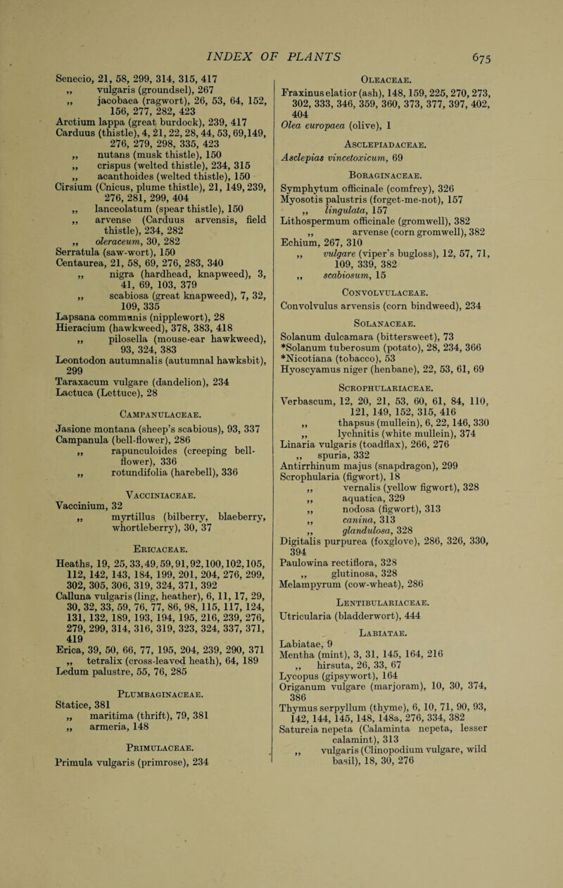 Senecio, 21, 58, 299, 314, 315, 417 „ vulgaris (groundsel), 267 „ jacobaea (ragwort), 26, 53, 64, 152, 156, 277, 282, 423 Arctium lappa (great burdock), 239, 417 Carduus (thistle), 4, 21, 22, 28, 44, 53, 69,149, 276, 279, 298, 335, 423 „ nutans (musk thistle), 150 „ crispus (welted thistle), 234, 315 ,, acanthoides (welted thistle), 150 Cirsium (Cnicus, plume thistle), 21, 149, 239, 276, 281, 299, 404 „ lanceolatum (spear thistle), 150 ,, arvense (Carduus arvensis, field thistle), 234, 282 „ oleraceum, 30, 282 Serratula (saw-wort), 150 Centaurea, 21, 58, 69, 276, 283, 340 ,, nigra (hardhead, knapweed), 3, 41, 69, 103, 379 „ scabiosa (great knapweed), 7, 32, 109, 335 Lapsana communis (nipplewort), 28 Hieracium (hawkweed), 378, 383, 418 „ pilosella (mouse-ear hawkweed), 93, 324, 383 Leontodon autumnalis (autumnal hawksbit), 299 Taraxacum vulgare (dandelion), 234 Lactuca (Lettuce), 28 Campanulaceae. Jasione montana (sheep’s scabious), 93, 337 Campanula (bell-flower), 286 ,, rapunculoides (creeping bell¬ flower), 336 „ rotundifolia (harebell), 336 Vacciniaceae. Vaccinium, 32 „ myrtillus (bilberry, blaeberry, whortleberry), 30, 37 Ericaceae. Heaths, 19, 25,33,49,59,91,92,100,102,105, 112, 142, 143, 184, 199, 201, 204, 276, 299, 302, 305, 306, 319, 324, 371, 392 Calluna vulgaris (ling, heather), 6, 11, 17, 29, 30, 32, 33, 59, 76, 77, 86, 98, 115, 117, 124, 131, 132, 189, 193, 194, 195, 216, 239, 276, 279, 299, 314, 316, 319, 323, 324, 337, 371, 419 Erica, 39, 50, 66, 77, 195, 204, 239, 290, 371 „ tetralix (cross-leaved heath), 64, 189 Ledum palustre, 55, 76, 285 Plumbaginaceae. Statice, 381 „ maritima (thrift), 79, 381 ,, armeria, 148 Primulaceae. Primula vulgaris (primrose), 234 Oleaceae. Fraxinuselatior (ash), 148,159,225,270, 273, 302, 333, 346, 359, 360, 373, 377, 397, 402, 404 Olea europaea (olive), 1 Asclepiadaceae. Asclepias vincetoxicum, 69 Boraginaceae. Symphytum officinale (comfrey), 326 Myosotis palustris (forget-me-not), 157 ,, lingulata, 157 Lithospermum officinale (gromwell), 382 „ arvense (corn gromwell), 382 Echium, 267, 310 „ vulgare (viper’s bugloss), 12, 57, 71, 109, 339, 382 ,, scabiosum, 15 CONVOLVULACEAE. Convolvulus arvensis (corn bindweed), 234 SOLANACEAE. Solanum dulcamara (bittersweet), 73 *Solanum tuberosum (potato), 28, 234, 366 *Nicotiana (tobacco), 53 Hyoscyamus niger (henbane), 22, 53, 61, 69 SCROPHULARIACEAE. Verbascum, 12, 20, 21, 53, 60, 61, 84, 110, 121, 149, 152, 315, 416 ,, thapsus (mullein), 6, 22,146, 330 „ lychnitis (white mullein), 374 Linaria vulgaris (toadflax), 266, 276 ,, spuria, 332 Antirrhinum majus (snapdragon), 299 Scrophularia (figwort), 18 ,, vernalis (yellow figwort), 328 ,, aquatica, 329 ,, nodosa (figwort), 313 ,, canina, 313 ,, glandulosa, 328 Digitalis purpurea (foxglove), 286, 326, 330, 394 Paulowina rectiflora, 328 ,, glutinosa, 328 Melampyrum (cow-wheat), 286 Lentibttlariaceae. Utricularia (bladderwort), 444 Labiatae. Labiatae, 9 Mentha (mint), 3, 31, 145, 164, 216 ,, hirsuta, 26, 33, 67 Lycopus (gipsywort), 164 Origanum vulgare (marjoram), 10, 30, 374, 386 Thymus serpyllum (thyme), 6, 10, 71, 90, 93, 142, 144, 145, 148, 148a, 276, 334, 382 Satureia nepeta (Calaminta nepeta, lesser calamint), 313 ,, vulgaris (Clinopodium vulgare, wild basil), 18, 30, 276