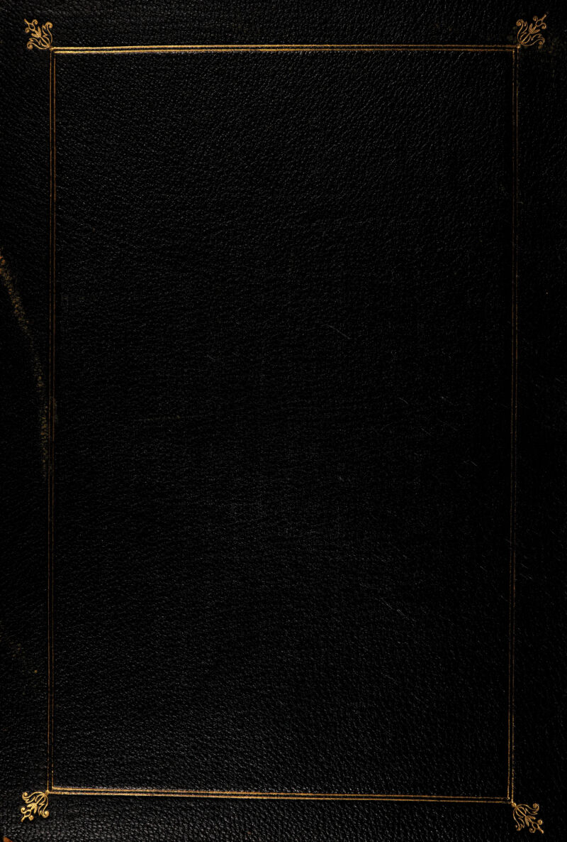 t<JUMMugauiiriiiIIhu'.ia. HWwTi