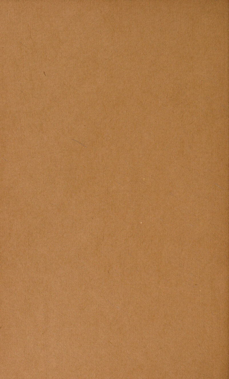 iV'/'-.j . t ' ' - ~ » - * > i ■ ... ’ + i „ t i'vl ^ a