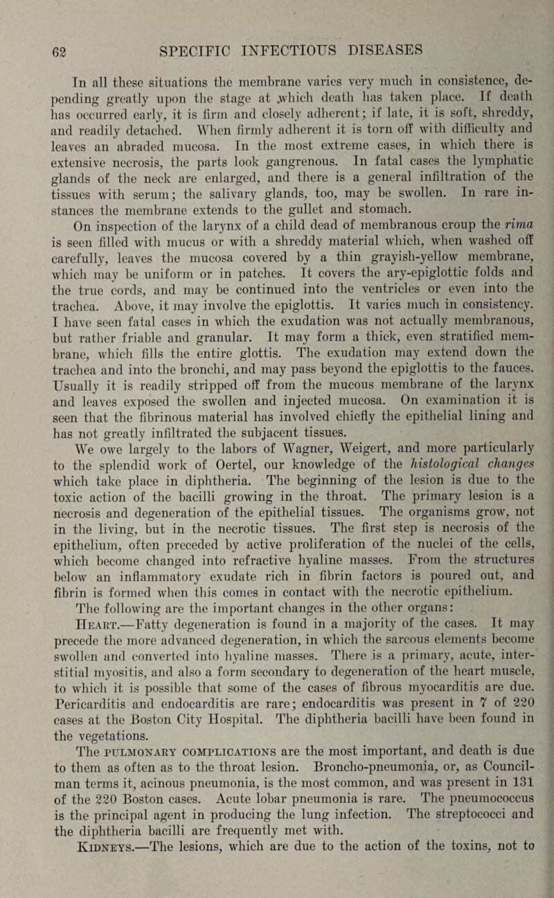 In all these situations the membrane varies very much in consistence, de¬ pending greatly upon the stage at .which death has taken place. If death has occurred early, it is firm and closely adherent; if late, it is soft, shreddy, and readily detached. When firmly adherent it is torn off with difficulty and leaves an abraded mucosa. In the most extreme cases, in wdiich there is extensive necrosis, the parts look gangrenous. In fatal cases the lymphatic glands of the neck are enlarged, and there is a general infiltration of the tissues with serum; the salivary glands, too, may be swollen. In rare in¬ stances the membrane extends to the gullet and stomach. On inspection of the larynx of a child dead of membranous croup the rima is seen filled with mucus or with a shreddy material which, when washed off carefully, leaves the mucosa covered by a thin grayish-yellow membrane, which may be uniform or in patches. It covers the ary-epiglottic folds and the true cords, and may be continued into the ventricles or even into the trachea. Above, it may involve the epiglottis. It varies much in consistency. I have seen fatal cases in which the exudation was not actually membranous, but rather friable and granular. It may form a thick, even stratified mem¬ brane, which fills the entire glottis. The exudation may extend down the trachea and into the bronchi, and may pass beyond the epiglottis to the fauces. Usually it is readily stripped off from the mucous membrane of the larynx and leaves exposed the swollen and injected mucosa. On examination it is seen that the fibrinous material has involved chiefly the epithelial lining and has not greatly infiltrated the subjacent tissues. We owe largely to the labors of Wagner, Weigert, and more particularly to the splendid work of Oertel, our knowledge of the histological changes which take place in diphtheria. The beginning of the lesion is due to the toxic action of the bacilli growing in the throat. The primary lesion is a necrosis and degeneration of the epithelial tissues. The organisms grow, not in the living, but in the necrotic tissues. The first step is necrosis of the epithelium, often preceded by active proliferation of the nuclei of the cells, which become changed into refractive hyaline masses. From the structures below an inflammatory exudate rich in fibrin factors is poured out, and fibrin is formed when this comes in contact with the necrotic epithelium. The following are the important changes in the other organs: Heart.—Fatty degeneration is found in a majority of the cases. It may precede the more advanced degeneration, in which the sarcous elements become swollen and converted into hyaline masses. There is a primary, acute, inter¬ stitial myositis, and also a form secondary to degeneration of the heart muscle, to which it is possible that some of the cases of fibrous myocarditis are due. Pericarditis and endocarditis are rare; endocarditis was present in 7 of 220 cases at the Boston City Hospital. The diphtheria bacilli have been found in the vegetations. The pulmonary complications are the most important, and death is due to them as often as to the throat lesion. Broncho-pneumonia, or, as Council¬ man terms it, acinous pneumonia, is the most common, and was present in 13 i of the 220 Boston cases. Acute lobar pneumonia is rare. The pneumococcus is the principal agent in producing the lung infection. The streptococci and the diphtheria bacilli are frequently met with. Kidneys.—The lesions, which are due to the action of the toxins, not to