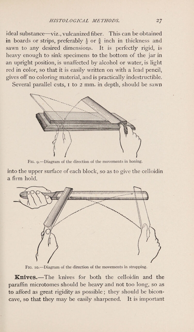 ideal substance—viz., vulcanized fiber. This can be obtained in boards or strips, preferably J or f inch in thickness and sawn to any desired dimensions. It is perfectly rigid, is heavy enough to sink specimens to the bottom of the jar in an upright position, is unaffected by alcohol or water, is light red in color, so that it is easily written on with a lead pencil, gives off no coloring material, and is practically indestructible. Several parallel cuts, 1 to 2 mm. in depth, should be sawn Fig. 9.—Diagram of the direction of the movements in honing. into the upper surface of each block, so as to give the celloidin a firm hold. Fig. 10.—Diagram of the direction of the movements in stropping. Ktlives.—The knives for both the celloidin and the paraffin microtomes should be heavy and not too long, so as to afford as great rigidity as possible; they should be bicon¬ cave, so that they may be easily sharpened. It is important