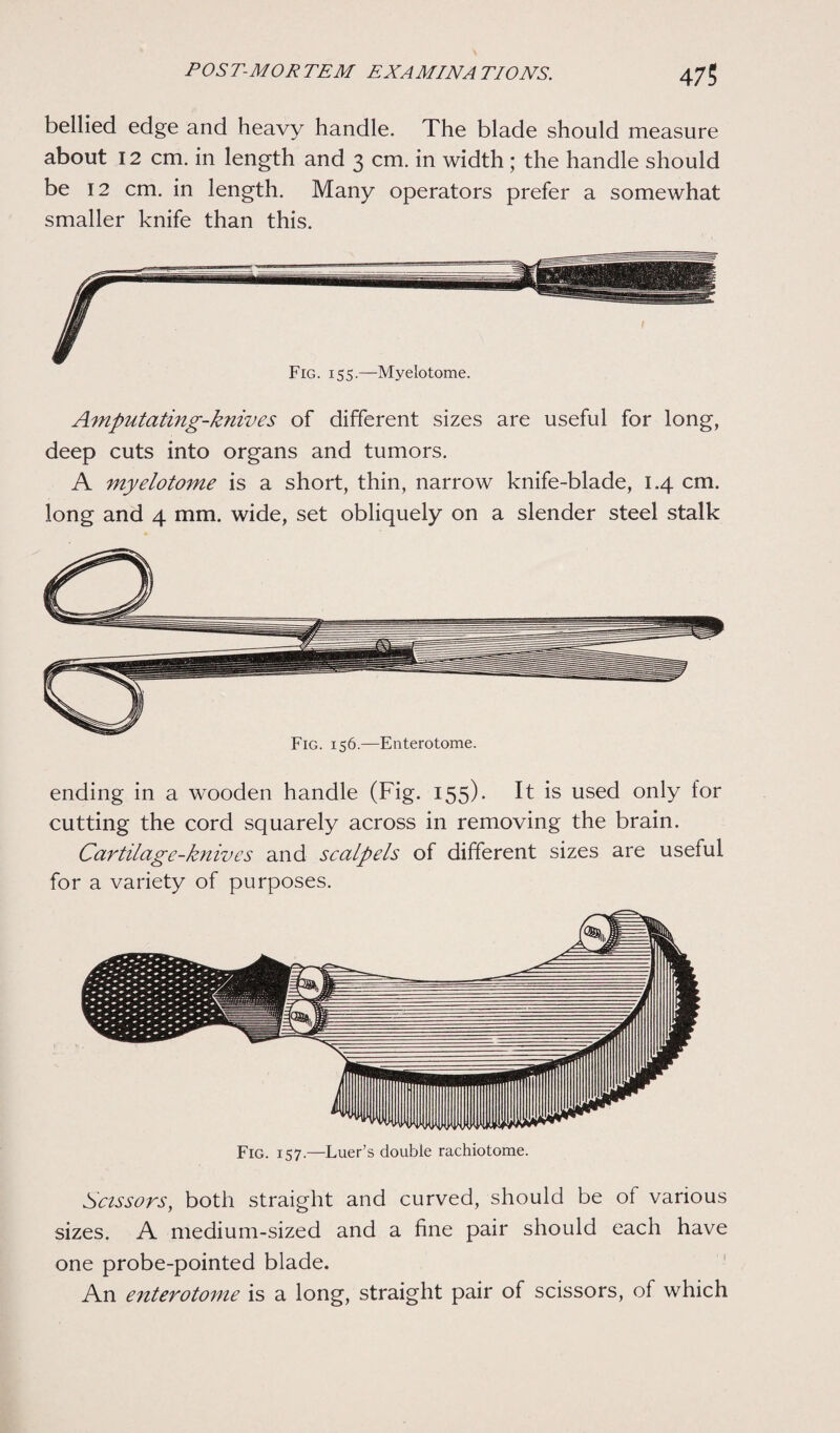 bellied edge and heavy handle. The blade should measure about 12 cm. in length and 3 cm. in width ; the handle should be 12 cm. in length. Many operators prefer a somewhat smaller knife than this. Fig. 155.—Myelotome. Amputating-knives of different sizes are useful for long, deep cuts into organs and tumors. A myelotome is a short, thin, narrow knife-blade, 1.4 cm. long and 4 mm. wide, set obliquely on a slender steel stalk Fig. 156.—Enterotome. ending in a wooden handle (Fig. 155). It is used only for cutting the cord squarely across in removing the brain. Cartilage-knives and scalpels of different sizes are useful for a variety of purposes. Fig. 157.—Luer’s double rachiotome. Scissors, both straight and curved, should be of various sizes. A medium-sized and a fine pair should each have one probe-pointed blade. An enterotome is a long, straight pair of scissors, of which