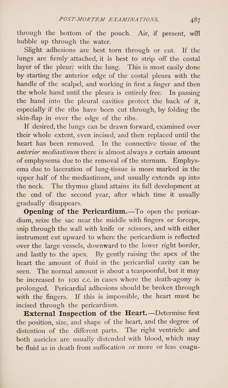 through the bottom of the pouch. Air, if present, will bubble up through the water. Slight adhesions are best torn through or cut. If the lungs are firmly attached, it is best to strip off the costal layer of the pleurr with the lung. This is most easily done by starting the anterior edge of the costal pleura with the handle of the scalpel, and working in first a finger and then the whole hand until the pleura is entirely free. In passing the hand into the pleural cavities protect the back of it, especially if the ribs have been cut through, by folding the skin-flap in over the edge of the ribs. If desired, the lungs can be drawn forward, examined over their whole extent, even incised, and then replaced until the heart has been removed. In the connective tissue of the anterior mediastinum there is almost always a certain amount of emphysema due to the removal of the sternum. Emphys¬ ema due to laceration of lung-tissue is more marked in the upper half of the mediastinum, and usually extends up into the neck. The thymus gland attains its full development at the end of the second year, after which time it usually gradually disappears. Opening- of the Pericardium.—To open the pericar¬ dium, seize the sac near the middle with fingers or forceps, snip through the wall with knife or scissors, and with either instrument cut upward to where the pericardium is reflected over the large vessels, downward to the lower right border, and lastly to the apex. By gently raising the apex of the heart the amount of fluid in the pericardial cavity can be seen. The normal amount is about a teaspoonful, but it may be increased to 100 c.c. in cases where the death-agony is prolonged. Pericardial adhesions should be broken through with the fingers. If this is impossible, the heart must be incised through the pericardium. External Inspection of the Heart.—Determine first the position, size, and shape of the heart, and the degree of distention of the different parts. The right ventricle and both auricles are usually distended with blood, which may be fluid as in death from suffocation or more or less coagu-
