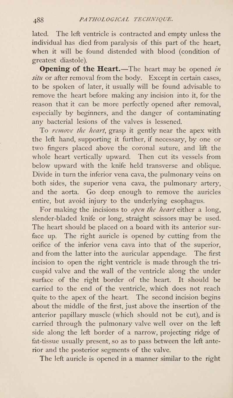 lated. The left ventricle is contracted and empty unless the individual has died from paralysis of this part of the heart, when it will be found distended with blood (condition of greatest diastole). Opening of the Heart.—The heart may be opened in situ or after removal from the body. Except in certain cases, to be spoken of later, it usually will be found advisable to remove the heart before making any incision into it, for the reason that it can be more perfectly opened after removal, especially by beginners, and the danger of contaminating any bacterial lesions of the valves is lessened. To remove the heart, grasp it gently near the apex with the left hand, supporting it further, if necessary, by one or two fingers placed above the coronal suture, and lift the whole heart vertically upward. Then cut its vessels from below upward with the knife held transverse and oblique. Divide in turn the inferior vena cava, the pulmonary veins on both sides, the superior vena cava, the pulmonary artery, and the aorta. Go deep enough to remove the auricles entire, but avoid injury to the underlying esophagus. For making the incisions to open the heart either a long, slender-bladed knife or long, straight scissors may be used. The heart should be placed on a board with its anterior sur¬ face up. The right auricle is opened by cutting from the orifice of the inferior vena cava into that of the superior, and from the latter into the auricular appendage. The first incision to open the right ventricle is made through the tri¬ cuspid valve and the wall of the ventricle along the under surface of the right border of the heart. It should be carried to the end of the ventricle, which does not reach quite to the apex of the heart. The second incision begins about the middle of the first, just above the insertion of the anterior papillary muscle (which should not be cut), and is carried through the pulmonary valve well over on the left side along the left border of a narrow, projecting ridge of fat-tissue usually present, so as to pass between the left ante¬ rior and the posterior segments of the valve. The left auricle is opened in a manner similar to the right