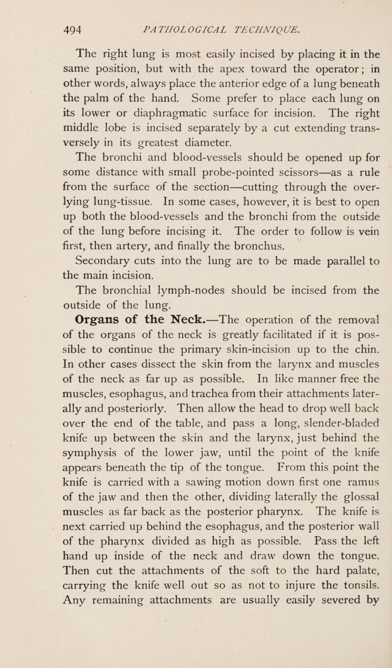 The right lung is most easily incised by placing it in the same position, but with the apex toward the operator; in other words, always place the anterior edge of a lung beneath the palm of the hand. Some prefer to place each lung on its lower or diaphragmatic surface for incision. The right middle lobe is incised separately by a cut extending trans¬ versely in its greatest diameter. The bronchi and blood-vessels should be opened up for some distance with small probe-pointed scissors—as a rule from the surface of the section—cutting through the over- lying lung-tissue. In some cases, however, it is best to open up both the blood-vessels and the bronchi from the outside of the lung before incising it. The order to follow is vein first, then artery, and finally the bronchus. Secondary cuts into the lung are to be made parallel to the main incision. The bronchial lymph-nodes should be incised from the outside of the lung. Organs of the Neck.—The operation of the removal of the organs of the neck is greatly facilitated if it is pos¬ sible to continue the primary skin-incision up to the chin. In other cases dissect the skin from the larynx and muscles of the neck as far up as possible. In like manner free the muscles, esophagus, and trachea from their attachments later¬ ally and posteriorly. Then allow the head to drop well back over the end of the table, and pass a long, slender-bladed knife up between the skin and the larynx, just behind the symphysis of the lower jaw, until the point of the knife appears beneath the tip of the tongue. From this point the knife is carried with a sawing motion down first one ramus of the jaw and then the other, dividing laterally the glossal muscles as far back as the posterior pharynx. The knife is next carried up behind the esophagus, and the posterior wall of the pharynx divided as high as possible. Pass the left hand up inside of the neck and draw down the tongue. Then cut the attachments of the soft to the hard palate, carrying the knife well out so as not to injure the tonsils. Any remaining attachments are usually easily severed by