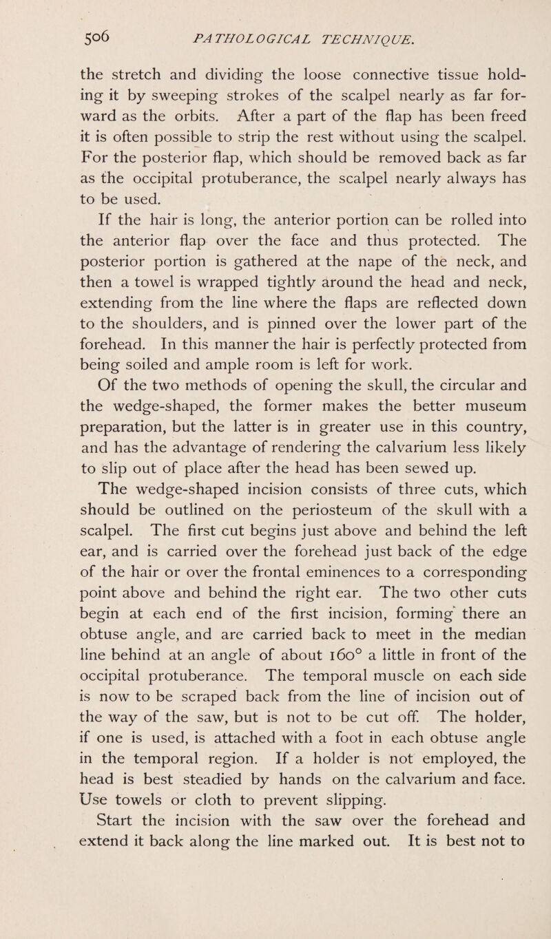 the stretch and dividing the loose connective tissue hold¬ ing it by sweeping strokes of the scalpel nearly as far for¬ ward as the orbits. After a part of the flap has been freed it is often possible to strip the rest without using the scalpel. For the posterior flap, which should be removed back as far as the occipital protuberance, the scalpel nearly always has to be used. If the hair is long, the anterior portion can be rolled into the anterior flap over the face and thus protected. The posterior portion is gathered at the nape of the neck, and then a towel is wrapped tightly around the head and neck, extending from the line where the flaps are reflected down to the shoulders, and is pinned over the lower part of the forehead. In this manner the hair is perfectly protected from being soiled and ample room is left for work. Of the two methods of opening the skull, the circular and the wedge-shaped, the former makes the better museum preparation, but the latter is in greater use in this country, and has the advantage of rendering the calvarium less likely to slip out of place after the head has been sewed up. The wedge-shaped incision consists of three cuts, which should be outlined on the periosteum of the skull with a scalpel. The first cut begins just above and behind the left ear, and is carried over the forehead just back of the edge of the hair or over the frontal eminences to a corresponding point above and behind the right ear. The two other cuts begin at each end of the first incision, forming there an obtuse angle, and are carried back to meet in the median line behind at an angle of about 160° a little in front of the occipital protuberance. The temporal muscle on each side is now to be scraped back from the line of incision out of the way of the saw, but is not to be cut off. The holder, if one is used, is attached with a foot in each obtuse angle in the temporal region. If a holder is not employed, the head is best steadied by hands on the calvarium and face. Use towels or cloth to prevent slipping. Start the incision with the saw over the forehead and extend it back along the line marked out. It is best not to