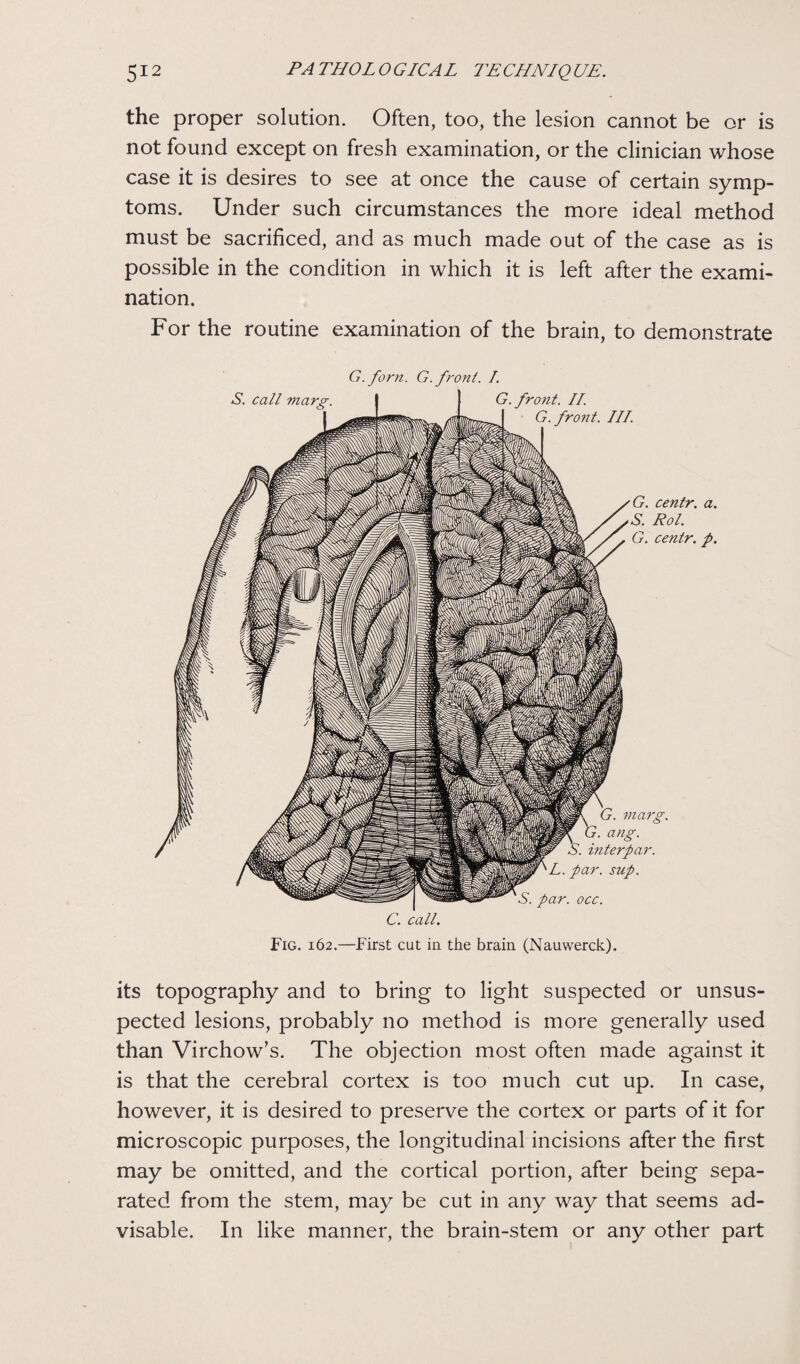 the proper solution. Often, too, the lesion cannot be or is not found except on fresh examination, or the clinician whose case it is desires to see at once the cause of certain symp¬ toms. Under such circumstances the more ideal method must be sacrificed, and as much made out of the case as is possible in the condition in which it is left after the exami¬ nation. For the routine examination of the brain, to demonstrate G.forn. G. front. I. S. call marg. G. front. II. G. front. III. G. centr. a. S. Rol. G. centr. p. marg. ang. interpar. L. par. sup. S. par. occ. C. call. Fig. 162.—First cut in the brain (Nauwerck). its topography and to bring to light suspected or unsus¬ pected lesions, probably no method is more generally used than Virchow’s. The objection most often made against it is that the cerebral cortex is too much cut up. In case, however, it is desired to preserve the cortex or parts of it for microscopic purposes, the longitudinal incisions after the first may be omitted, and the cortical portion, after being sepa¬ rated from the stem, may be cut in any way that seems ad¬ visable. In like manner, the brain-stem or any other part