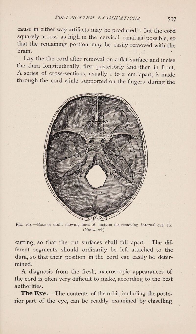 cause in either way artifacts may be produced, o Qut the cord squarely across as high in the cervical canal Ns possible, so that the remaining portion may be easily removed with the brain. Lay the the cord after removal on a flat surface and incise the dura longitudinally, first posteriorly and then in front. A series of cross-sections, usually 1 to 2 cm. apart, is made through the cord while supported on the fingers during the Fig. 164.—Base of skull, showing lines of incision for removing internal eye, etc (Nauwerck). cutting, so that the cut surfaces shall fall apart. The dif¬ ferent segments should ordinarily be left attached to the dura, so that their position in the cord can easily be deter¬ mined. A diagnosis from the fresh, macroscopic appearances of the cord is often very difficult to make, according to the best authorities. The I$ye.—The contents of the orbit, including the poste¬ rior part of the eye, can be readily examined by chiselling