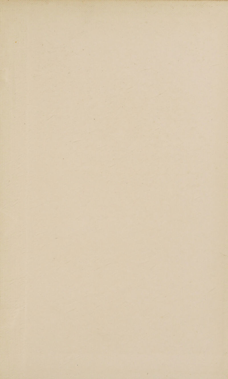 if!-,. Kk* ■ - ' - -H , ■ ■•■- . I ✓ •• ; 1 - V - iv*'* ■ ^ ... . ,h' '«  o--sr i . r •o.-’ '■ N 9 1 ‘- /v* ,. ▼, v‘- • - . . . f a; X-. A « 4?-- Q &gt; ►.!■*;- ■ X-*'~