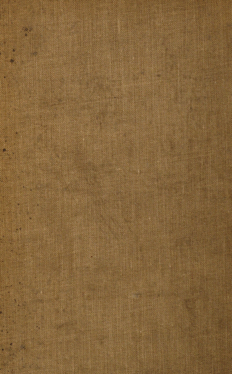 m wii ■0mm Pi 111# MU mmm fcirrkji 8KM afi!ui5!»<:RKoR?5f;!eS':;S liiliw ftpiiii \-b wMPSi •iSiHcaffidaoSSoS ;::v :: r wsHkwS&sjHHi BSSifSSa® ,nK wf 1 wUfV; .•'y;' 8pip«Bpp«aipl ■lliiiiliii