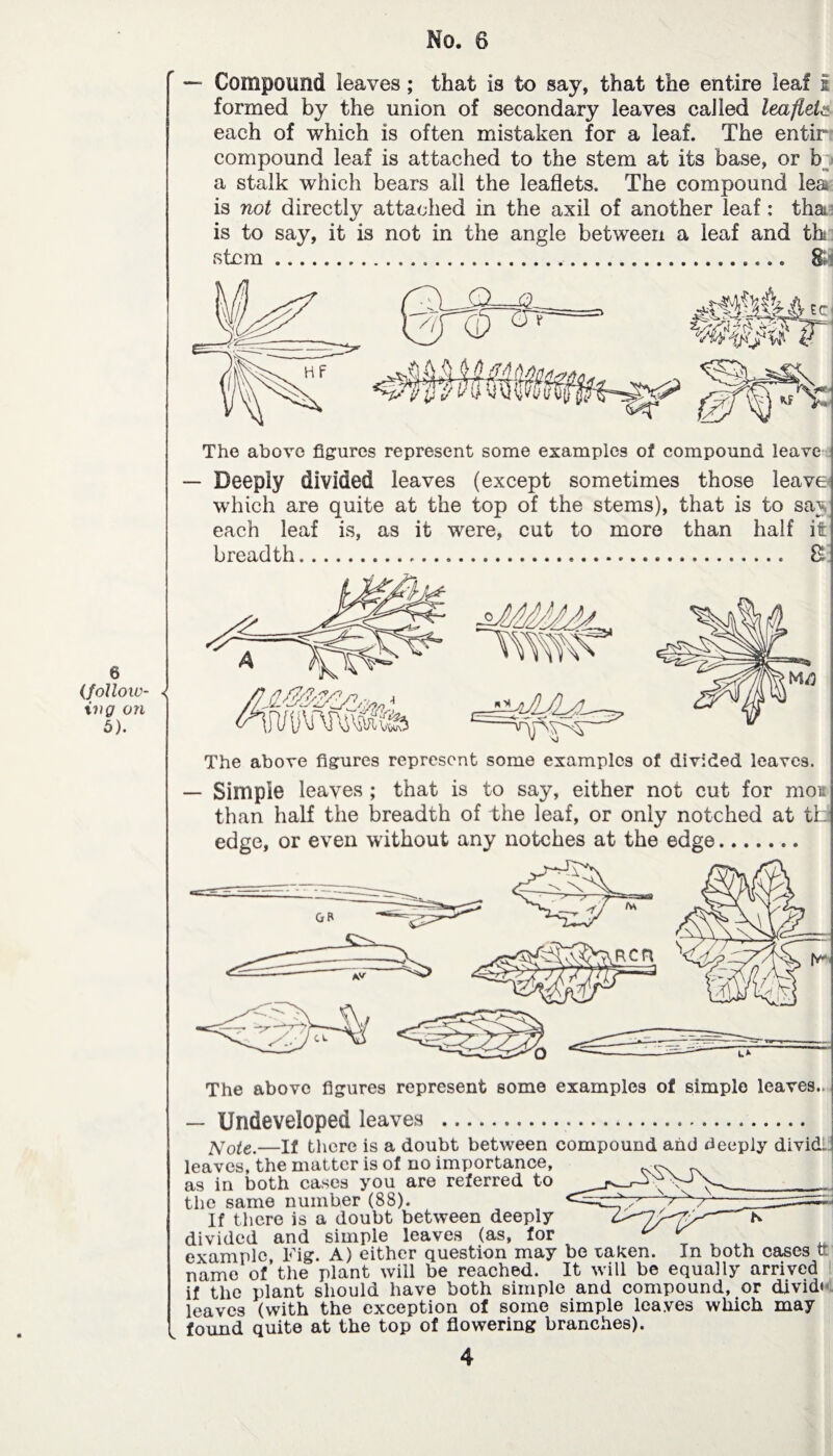 — Compound leaves ; that is to say, that the entire leaf £ formed by the union of secondary leaves called leaflet each of which is often mistaken for a leaf. The entir compound leaf is attached to the stem at its base, or b a stalk which bears all the leaflets. The compound lea is not directly attached in the axil of another leaf : tha is to say, it is not in the angle between a leaf and th stem... &- The above figures represent some examples of compound leave — Deeply divided leaves (except sometimes those leave which are quite at the top of the stems), that is to sav each leaf is, as it were, cut to more than half if breadth. £ The above figures represent some examples of divided leaves. — Simple leaves ; that is to say, either not cut for mois than half the breadth of the leaf, or only notched at tb edge, or even without any notches at the edge. The above figures represent some examples of simple leaves.. — Undeveloped leaves .. Note.—if there is a doubt between compound and deeply dividi leaves, the matter is of no importance, as in both cases you are referred to the same number (88). If there is a doubt between deeply divided and simple leaves (as, for , example, Fig. A) either question may be taken. In both cases tr name of’the plant will be reached. It will be equally arrived if the plant should have both simple and compound, or divid< leaves (with the exception of some simple leaves which may , found quite at the top of flowering branches).