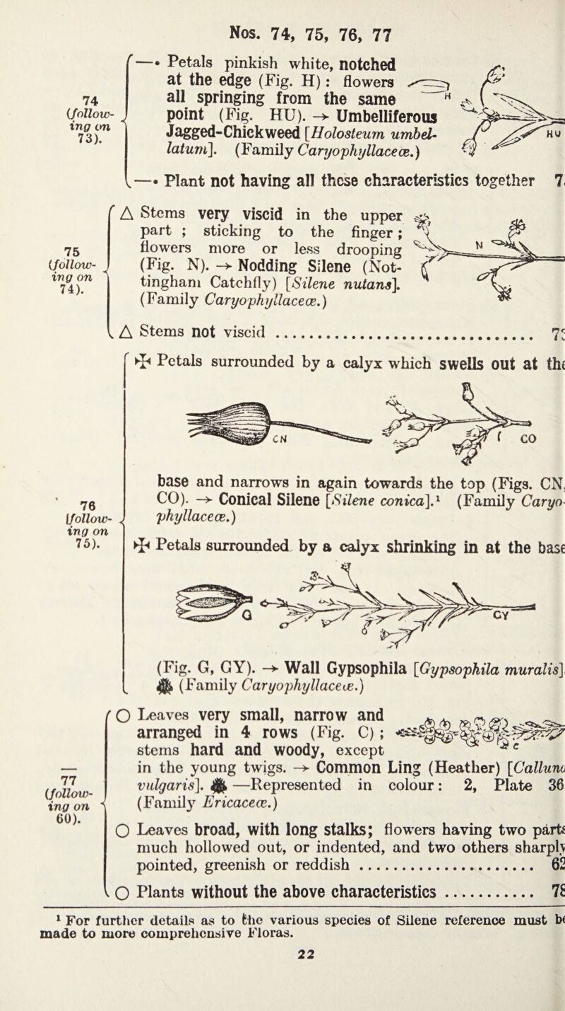 74 (follow¬ ing on 73). Petals pinkish white, notched at the edge (Fig. H) : flowers all springing from the same point (Fig. HU). -> Umbelliferous Jagged-Chick weed [Holosteum umbel- latum]. (Family Caryophyllace œ.) \—• Plant not having all these characteristics together 7 75 (follow¬ ing on 74). ' A Stems very viscid in the upper part ; sticking to the finger ; flowers more or less drooping (Fig. N). -> Nodding Silene (Not¬ tingham Catchfly) [Silene nutans]. (Family Caryophyllacece.) K A Stems not viscid 7. ►Ï* Petals surrounded by a calyx which swells out at the 76 Ifollow¬ ing on 75). base and narrows in again towards the top (Figs. CN. CO). -> Conical Silene [Silene conica].1 (Family Caryo phyllacece.) ►Ï* Petals surrounded by a calyx shrinking in at the base (Fig. G, CY). -* Wall Gypsophila [Gypsophila muralis] (Family Caryophyllacece.) (.follow¬ ing on 60). fO Leaves very small, narrow and ^ ^ arranged in 4 rows (Fig. C) ; stems hard and woody, except ^c in the young twigs. -> Common Ling (Heather) [Callurn vulgaris]. —Represented in colour : 2, Plate 36 - (Family Ericaceae.) O Leaves broad, with long stalks; flowers having two parts much hollowed out, or indented, and two others sharph pointed, greenish or reddish. 62 , O Plants without the above characteristics. 7£ 1 For further details as to the various species of Silene reference must b< made to more comprehensive Floras.