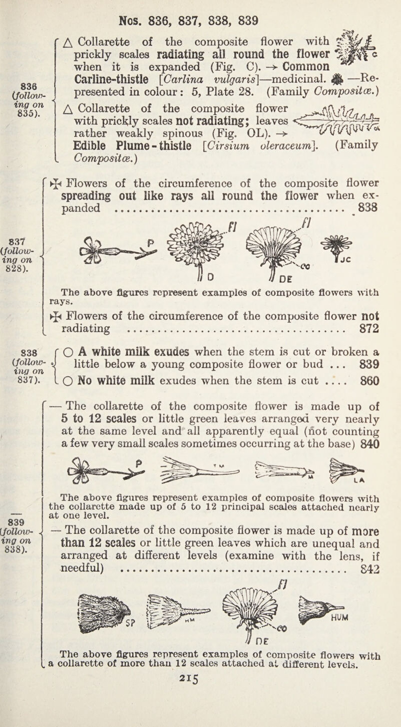 836 (follow¬ ing on 835). Nos. 836, 837, 838, 839 A Collarette of the composite flower with prickly scales radiating all round the flower when it is expanded (Fig. C). -> Common Carline-thistle [Carlina vulgaris]—medicinal. «Ü> —Re¬ presented in colour : 5, Plate 28. (Family Gompositce.) A Collarette of the composite flower —i'Cv’V with prickly scales not radiating; leaves rather weakly spinous (Fig OL). -> Edible Plume « thistle [Cirsium oleraceum}. (Family Composïtæ. ) 837 (follow¬ ing on 828). < ►J< Flowers of the circumference of the composite flower spreading out like rays all round the flower when ex¬ panded .. 838 The above figures represent examples of composite flowers with rays. ►J< Flowers of the circumference of the composite flower not radiating . 872 838 (follow¬ ing on 837). ' O A white milk exudes when the stem is cut or broken a little below a young composite flower or bud ... 839 . O No white milk exudes when the stem is cut .... 860 ' -— The collarette of the composite flower is made up of 5 to 12 scales or little green leaves arranged very nearly at the same level and all apparently equal (riot counting a few very small scales sometimes occurring at the base) 840 839 [follow¬ ing on 838). The above figures represent examples of composite flowers with the collarette made up of 5 to 12 principal scales attached nearly at one level. — The collarette of the composite flower is made up of more than 12 scales or little green leaves which are unequal and arranged at different levels (examine with the lens, if needful) .... 842 The above figures represent examples of composite flowers with . a collarette of more than 12 scales attached at different levels.