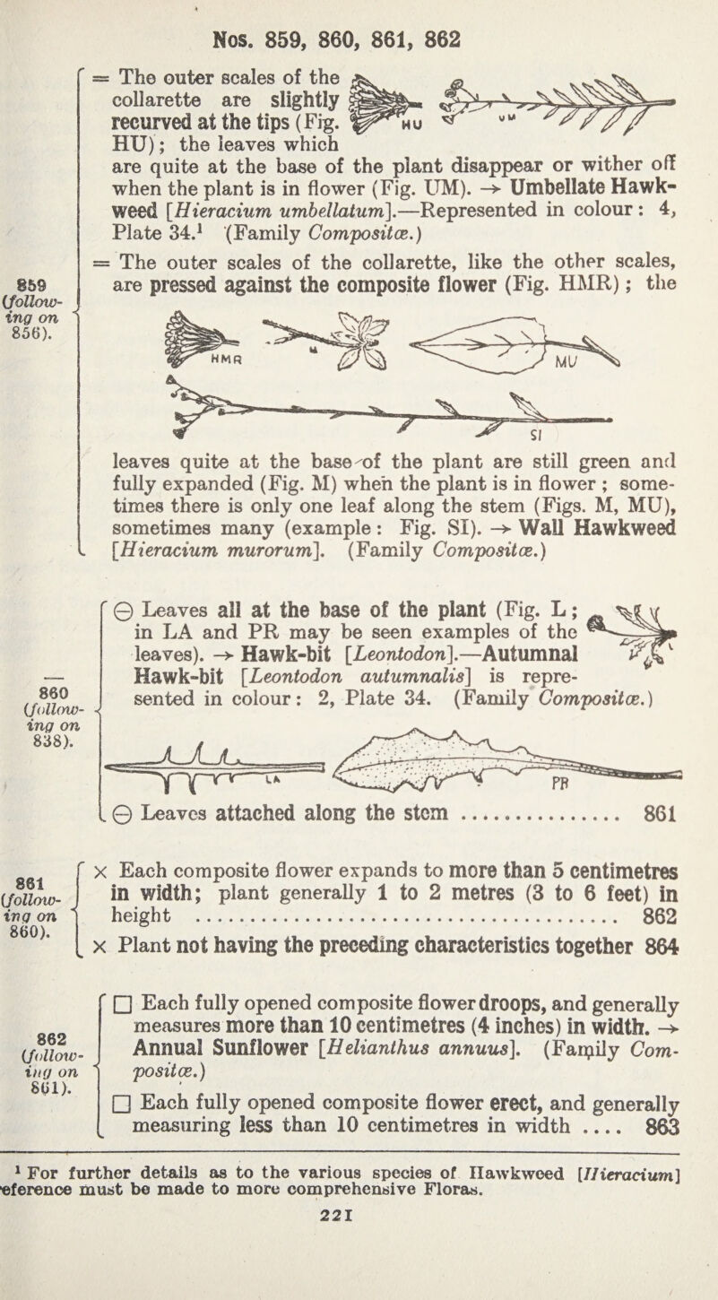 Jr Nos. 859, 860, 861, 862 859 (follow¬ ing on 856). = The outer scales of the collarette are slightly recurved at the tips (Fig. HU) ; the leaves which are quite at the base of the plant disappear or wither oft when the plant is in flower (Fig. UM). -> Umbellate Hawk- weed [Hieracium umbellatum].—Represented in colour : 4, Plate 34,1 (Family Compositee.) — The outer scales of the collarette, like the other scales, are pressed against the composite flower (Fig. HMR) ; the *7.777 leaves quite at the base^of the plant are still green and fully expanded (Fig. M) when the plant is in flower ; some¬ times there is only one leaf along the stem (Figs. M, MU), sometimes many (example : Fig. SI). -> Wall Hawk weed . [Hieracium murorum]. (Family Compositce.) 860 (follow¬ ing on 838). ' © Leaves all at the base of the plant (Fig. L ; in LA and PR may be seen examples of the leaves). -> Hawk-bit [Leontodon],—Autumnal Hawk-bit [Leontodon autumnalis] is repre¬ sented in colour: 2, Plate 34. (Family Compositce.) „ © Leaves attached along the stem 861 881 (follow- ir\q on 860). ' x Each composite flower expands to more than 5 centimetres in width; plant generally 1 to 2 metres (3 to 6 feet) in * height .. 862 x Plant not having the preceding characteristics together 864 862 (follow¬ ing on 861). □ Each fully opened composite flower droops, and generally measures more than 10 centimetres (4 inches) in width. -> Annual Sunflower [Helianthus annuus], (Faipily Com¬ positce.) □ Each fully opened composite flower erect, and generally measuring less than 10 centimetres in width .... 863 1 For further details as to the various species of Ilawkweed [Hieracium] ■eference must be made to more comprehensive Floras.