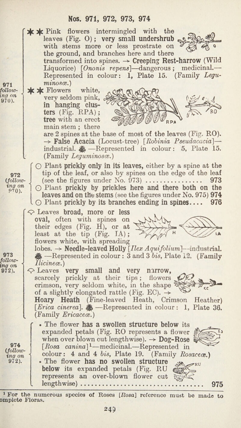 foilow- in{7 on 970). 973 follow¬ ing on 972). S72 (follow¬ ing on P?Q). 974 (.follow¬ ing on 972). Nos. 971, 972, 973, 974 Pink flowers intermingled with the leaves (Fig. 0) ; very small undershrub with stems more or less prostrate on the ground, and branches here and there transformed into spines. Creeping Rest-harrow (Wild Liquorice) [Ononis repens]—dangerous ; medicinal.— Represented in colour : 1, Plate 15. (Family Legu- minosæ.) 3fc 5§C Flowers white, very seldom pink, ^ <? ^ J in hanging clus- f/ C/ ters (Fig. RPA) ; <( ' °n tree with an erect main stem ; there ^ are 2 spines at the base of most of the leaves (Fig. RO). -> False Acacia (Locust-tree) [Robinia Pseudacacia]— industrial. <H> —Represented in colour : 5, Plate 15. (Family Leguminosce.) ' O Plant prickly only in its leaves, either by a spine at the tip of the leaf, or also by spines on the edge of the leaf (see the figures under No. 973). 973 I O Plant prickly by prickles here and there both on the leaves and on the stems (see the figures under No. 975) 974 O Plant prickly by its branches ending in spines.... 976 Leaves broad, more or less oval, often with spines on their edges (Fig. H), or at least at the tip (Fig. TA) ; flowers white, with spreading lobes. Needle-leaved Holly [Ilex Aquifoliurri]- -industrial. H —Represented in colour : 3 and 3 bis, Plate 12. (Family Ilicinece.) <> Leaves very small and very narrow, scarcely prickly at their tips ; flowers crimson, very seldom white, in the shape of a slightly elongated rattle (Fig. EC). -> Hoary Heath (Fine-leaved Heath, Crimson Heather) [Erica cinerea]. ||> —Represented in colour : 1, Plate 36. (Family Ericaceae.) ■ The flower has a swollen structure below its expanded petals (Fig. RO represents a flower when over blown cut lengthwise). —> Dog-Rose [Rosa canina]l—medicinal.—Represented in colour: 4 and 4 bis, Plate 19. (Family Rosaceœ » The flower has no swollen structure below its expanded petals (Fig. RU represents an over-blown flower cut lengthwise).. I C.C •) RU 975 1 For the numerous species of Roses [Rosa] reference must be made to ompiete Floras. 24P