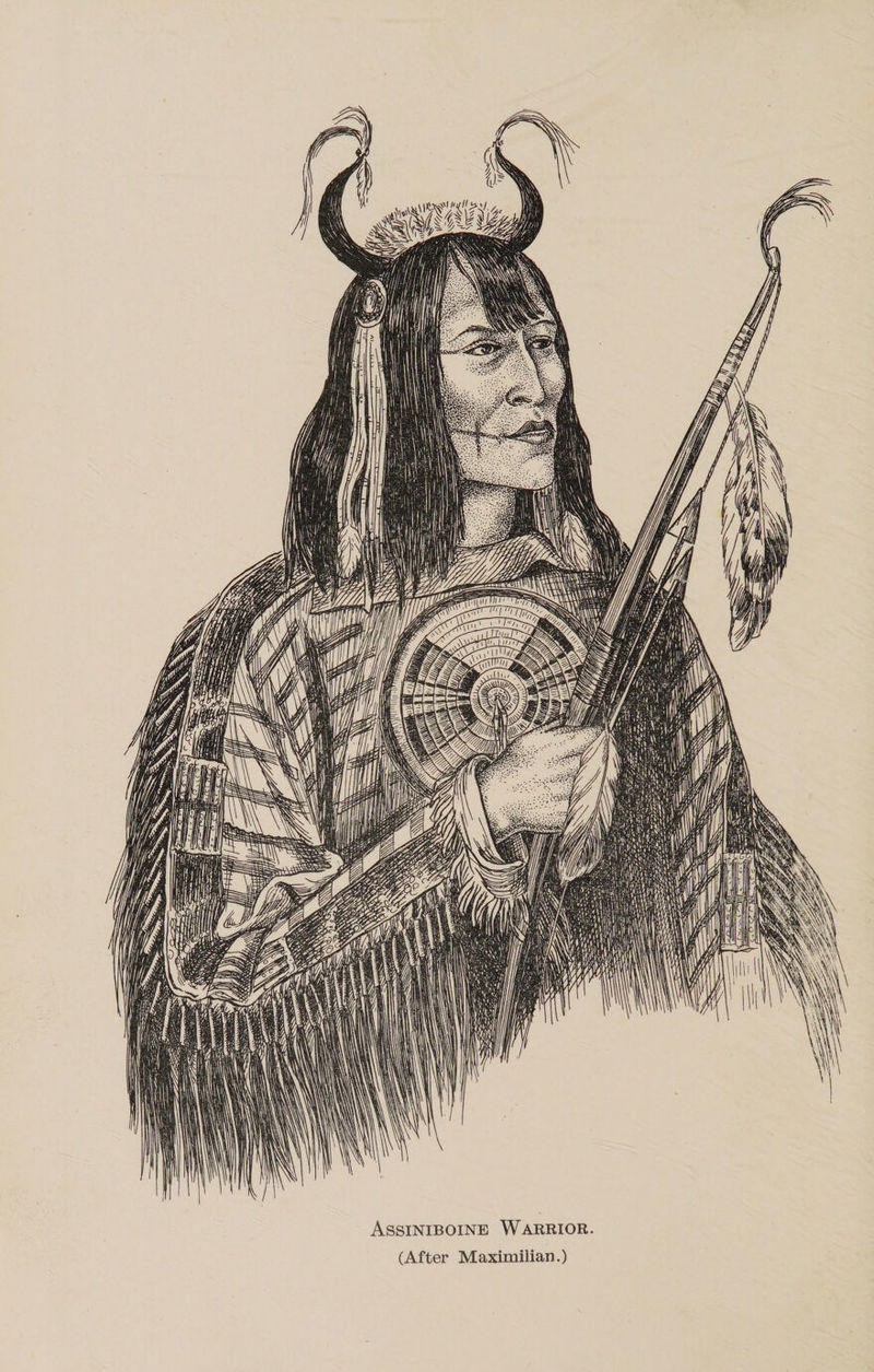Assiniboine Warrior. (After Maximilian.)