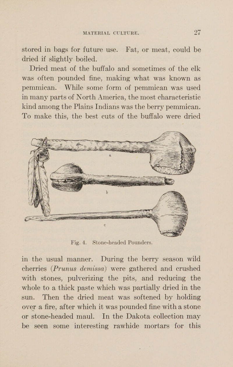 stored in bags for future use. Fat, or meat, could be dried if slightly boiled. Dried meat of the buffalo and sometimes of the elk was often pounded fine, making what was known as pemmican. While some form of pemmican was used in many parts of North America, the most characteristic kind among the Plains Indians was the berry pemmican. To make this, the best cuts of the buffalo were dried Fig. 4. Stone-headed Pounders. in the usual manner. During the berry season wild cherries (Prunus demissa) were gathered and crushed with stones, pulverizing the pits, and reducing the whole to a thick paste which was partially dried in the sun. Then the dried meat was softened by holding over a fire, after which it was pounded fine with a stone or stone-headed maul. In the Dakota collection may be seen some interesting rawhide mortars for this