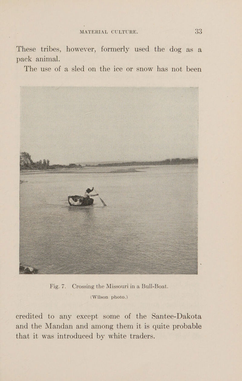 These tribes, however, formerly used the dog as a pack animal. The use of a sled on the ice or snow has not been Fig. 7. Crossing the Missouri in a Bull-Boat. (Wilson photo.) credited to any except some of the Santee-Dakota and the Mandan and among them it is quite probable that it was introduced by white traders.