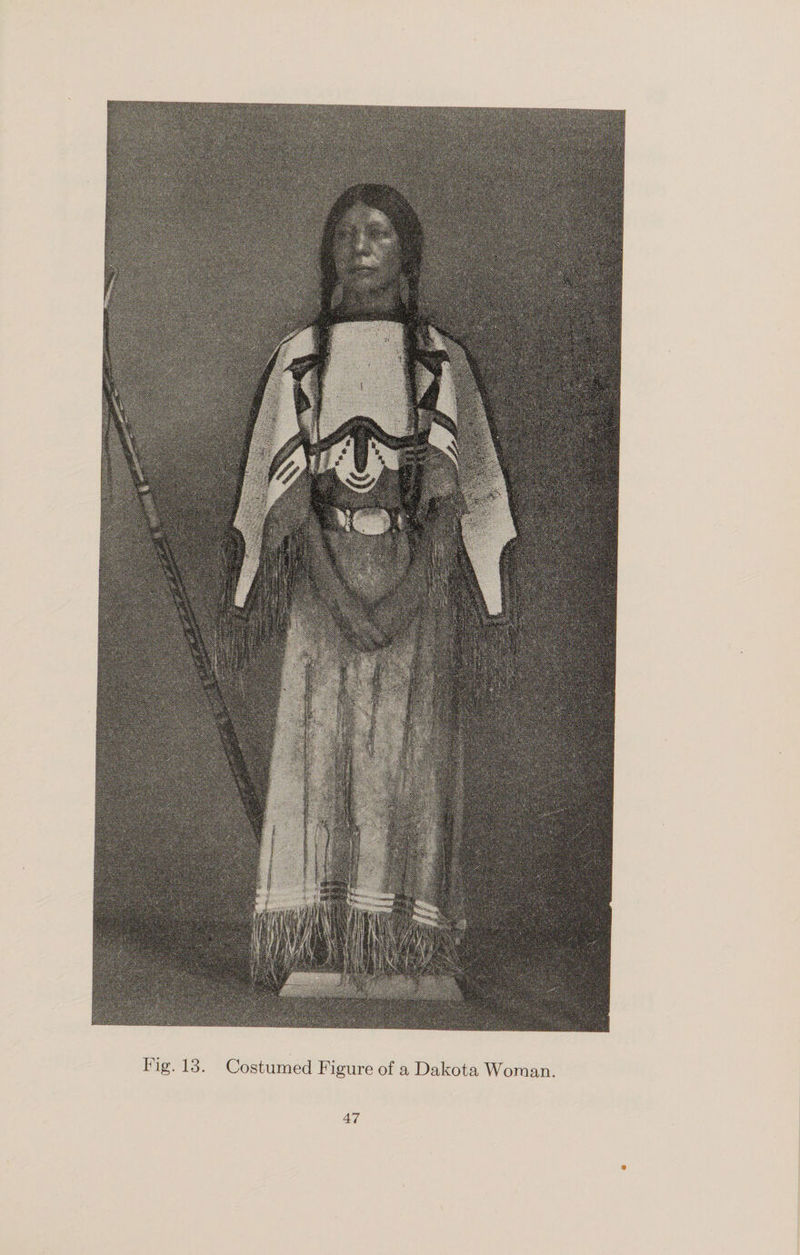 Fig. 13. Costumed Figure of a Dakota Woman.