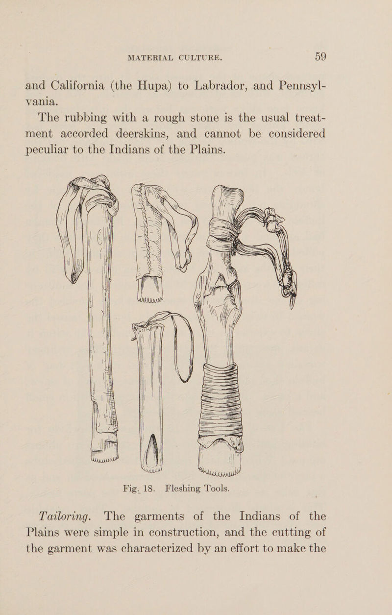 and California (the Hupa) to Labrador, and Pennsyl¬ vania. The rubbing with a rough stone is the usual treat¬ ment accorded deerskins, and cannot be considered peculiar to the Indians of the Plains. Fig. 18. Fleshing Tools. Tailoring. The garments of the Indians of the Plains were simple in construction, and the cutting of the garment was characterized by an effort to make the