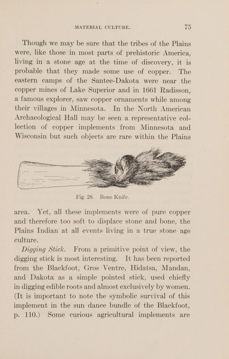 Though we may be sure that the tribes of the Plains were, like those in most parts of prehistoric America, living in a stone age at the time of discovery, it is probable that they made some use of copper. The eastern camps of the Santee-Dakota were near the copper mines of Lake Superior and in 1661 Radisson, a famous explorer, saw copper ornaments while among their villages in Minnesota. In the North American Archaeological Hall may be seen a representative col¬ lection of copper implements from Minnesota and Wisconsin but such objects are rare within the Plains Fig. 28. Bone Knife. area. Yet, all these implements were of pure copper and therefore too soft to displace stone and bone, the Plains Indian at all events living in a true stone age culture. Digging Stick. From a primitive point of view, the digging stick is most interesting. It has been reported from the Blackfoot, Gros Ventre, Hidatsa, Mandan, and Dakota as a simple pointed stick, used chiefly in digging edible roots and almost exclusively by women. (It is important to note the symbolic survival of this implement in the sun dance bundle of the Blackfoot, p. 110.) Some curious agricultural implements are