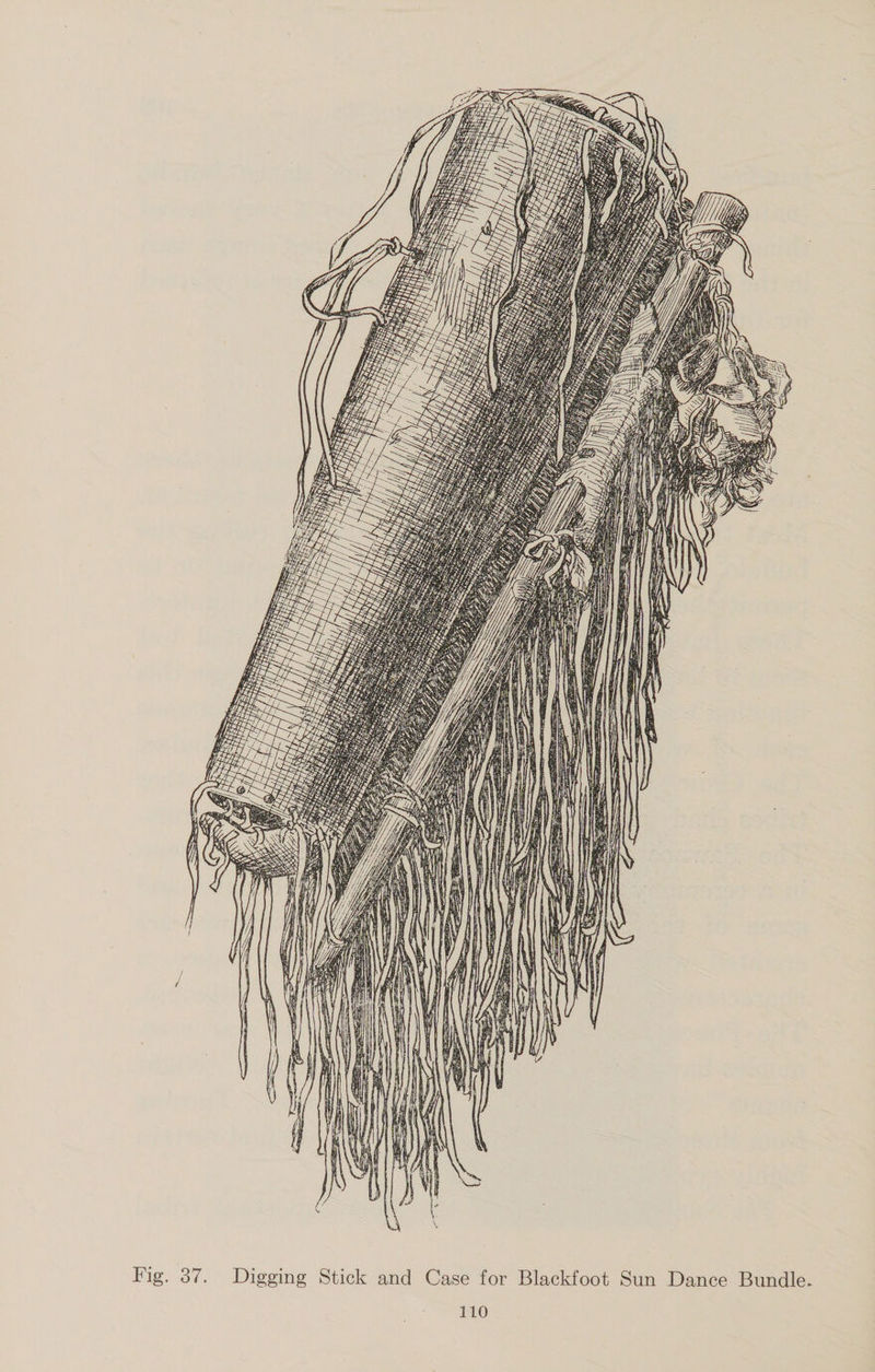 Fig. 37. Digging Stick and Case for Blackfoot Sun Dance Bundle.