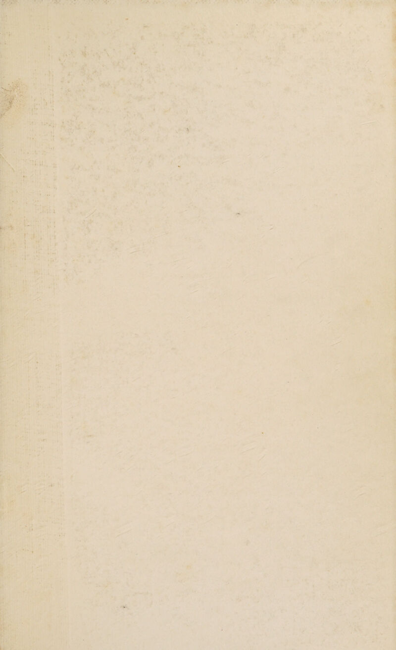 , • . , * - - ■r