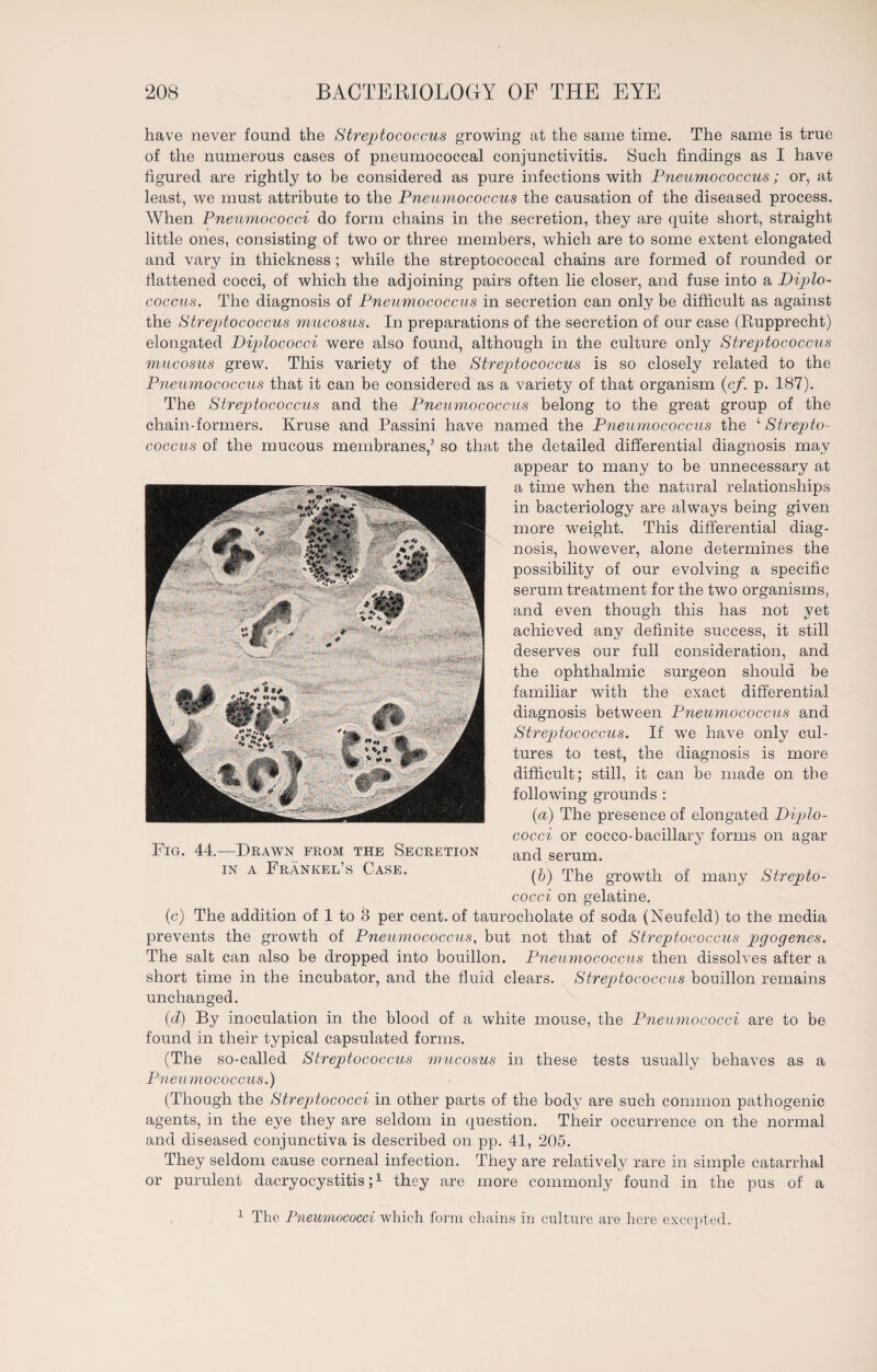 have never found the Streptococcus growing at the same time. The same is true of the numerous cases of pneumococcal conjunctivitis. Such findings as I have figured are rightly to be considered as pure infections with Pneumococcus; or, at least, we must attribute to the Pneumococcus the causation of the diseased process. When Pneumococci do form chains in the secretion, they are quite short, straight little ones, consisting of two or three members, which are to some extent elongated and vary in thickness ; while the streptococcal chains are formed of rounded or flattened cocci, of which the adjoining pairs often lie closer, and fuse into a Piplo- coccus. The diagnosis of Pneumococcus in secretion can only be difficult as against the Streptococcus mucosus. In preparations of the secretion of our case (Rupprecht) elongated Diplococci were also found, although in the culture only Streptococcus mucosus grew. This variety of the Streptococcus is so closely related to the Pneumococcus that it can be considered as a variety of that organism (cf. p. 187). The Streptococcus and the Pneumococcus belong to the great group of the chain-formers. Kruse and Passini have named the Pneumococcus the ‘ Strepto¬ coccus of the mucous membranes,’ so that the detailed differential diagnosis may appear to many to be unnecessary at a time when the natural relationships in bacteriology are always being given more weight. This differential diag¬ nosis, however, alone determines the possibility of our evolving a specific serum treatment for the two organisms, and even though this has not yet achieved any definite success, it still deserves our full consideration, and the ophthalmic surgeon should be familiar with the exact differential diagnosis between Pneumococcus and Streptococcus. If we have only cul¬ tures to test, the diagnosis is more difficult; still, it can be made on the following grounds : (a) The presence of elongated Piplo- cocci or cocco-bacillary forms on agar and serum. (5) The growth of many Strepto¬ cocci on gelatine. (c) The addition of 1 to 8 per cent, of taurocholate of soda (Neufeld) to the media prevents the growth of Pneumococcus, but not that of Streptococcus pgogenes. The salt can also be dropped into bouillon. Pneumococcus then dissolves after a short time in the incubator, and the fluid clears. Streptococcus bouillon remains unchanged. (d) By inoculation in the blood of a white mouse, the Pneumococci are to be found in their typical capsulated forms. (The so-called Streptococcus mucosus in these tests usually behaves as a Pneumococcus.) (Though the Streptococci in other parts of the body are such common pathogenic agents, in the eye they are seldom in question. Their occurrence on the normal and diseased conjunctiva is described on pp. 41, 205. They seldom cause corneal infection. They are relatively rare in simple catarrhal or purulent dacryocystitis;1 they are more commonly found in the pus of a Fig. 44.—Drawn from the Secretion in a Fränkel’s Case. 1 The Pneumococci which form chains in culture are here excepted.