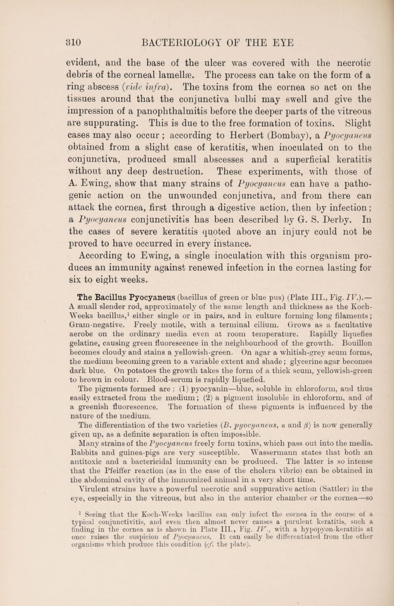 evident, and the base of the ulcer was covered with the necrotic debris of the corneal lamellae. The process can take on the form of a ring abscess (vide infra). The toxins from the cornea so act on the tissues around that the conjunctiva bulbi may swell and give the impression of a panophthalmitis before the deeper parts of the vitreous are suppurating. This is due to the free formation of toxins. Slight cases may also occur ; according to Herbert (Bombay), a Pyocyaneus obtained from a slight case of keratitis, when inoculated on to the conjunctiva, produced small abscesses and a superficial keratitis without any deep destruction. These experiments, with those of A. Ewing, show that many strains of Pyocyaneus can have a patho¬ genic action on the unwounded conjunctiva, and from there can attack the cornea, first through a digestive action, then by infection ; a Pyocyaneus conjunctivitis has been described by G. S. Derby. In the cases of severe keratitis quoted above an injury could not be proved to have occurred in every instance. According to Ewing, a single inoculation with this organism pro¬ duces an immunity against renewed infection in the cornea lasting for six to eight weeks. The Bacillus Pyocyaneus (bacillus of green or blue pus) (Plate III., Fig. IV.).— A small slender rod, approximately of the same length and thickness as the Koch- Weeks bacillus,1 either single or in pairs, and in culture forming long filaments; Gram-negative. Freely motile, with a terminal cilium. Grows as a facultative aerobe on the ordinary media even at room temperature. Rapidly liquefies gelatine, causing green fluorescence in the neighbourhood of the growth. Bouillon becomes cloudy and stains a yellowish-green. On agar a whitish-grey scum forms, the medium becoming green to a variable extent and shade ; glycerine agar becomes dark blue. On potatoes the growth takes the form of a thick scum, yellowish-green to brown in colour. Blood-serum is rapidly liquefied. The pigments formed are : (1) pyocyanin—blue, soluble in chloroform, and thus easily extracted from the medium; (2) a pigment insoluble in chloroform, and of a greenish fluorescence. The formation of these pigments is influenced by the nature of the medium. The differentiation of the two varieties (B. pyocyaneus, a and ß) is now generally given up, as a definite separation is often impossible. Many strains of the Pyocyaneus freely form toxins, which pass out into the media. Rabbits and guinea-pigs are very susceptible. Wassermann states that both an antitoxic and a bactericidal immunity can be produced. The latter is so intense that the Pfeiffer reaction (as in the case of the cholera vibrio) can be obtained in the abdominal cavity of the immunized animal in a very short time. Virulent strains have a powerful necrotic and suppurative action (Sattler) in the eye, especially in the vitreous, but also in the anterior chamber or the cornea—so 1 Seeing that the Koch-Weeks bacillus can only infect the cornea in the course of a typical conjunctivitis, and even then almost never causes a purulent keratitis, such a finding in the cornea as is shown in Plate III., Fig. IV-, with a hypopyon-keratitis at once raises the suspicion of Pyocyaneus. It can easily be differentiated from the other organisms which produce this condition (cf. the plate).