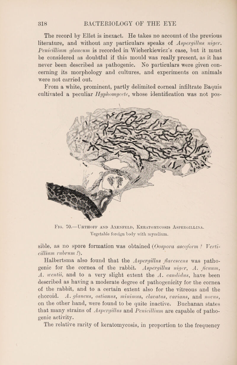 The record by Eilet is inexact. He takes no account of the previous literature, and without any particulars speaks of Aspergillus niger. Penicillium glaucum is recorded in Wicherkiewicz’s case, but it must be considered as doubtful if this mould was really present, as it has never been described as pathogenic. No particulars were given con¬ cerning its morphology and cultures, and experiments on animals were not carried out. From a white, prominent, partly delimited corneal infiltrate Baquis cultivated a peculiar Hyphomycete, whose identification was not pos- Fig. 70.—Urthoff and Axenfeld, Keratomycosis Aspergillina. Vegetable foreign body with mycelium. sible, as no spore formation was obtained (Oospora ascoform ? Verti- cillium rubrum ?). Halbertsma also found that the Aspergillus flavescens was patho¬ genic for the cornea of the rabbit. Aspergillus niger, A. ficuum, A. wentii, and to a very slight extent the A. candiclus, have been described as having a moderate degree of pathogenicity for the cornea of the rabbit, and to a certain extent also for the vitreous and the choroid. A. glaucus, ostianus, minimus, clcivatus, rarians, and novus, on the other hand, were found to be quite inactive. Buchanan states that many strains of Aspergillus and Penicillium are capable of patho¬ genic activity. The relative rarity of keratomycosis, in proportion to the frequency