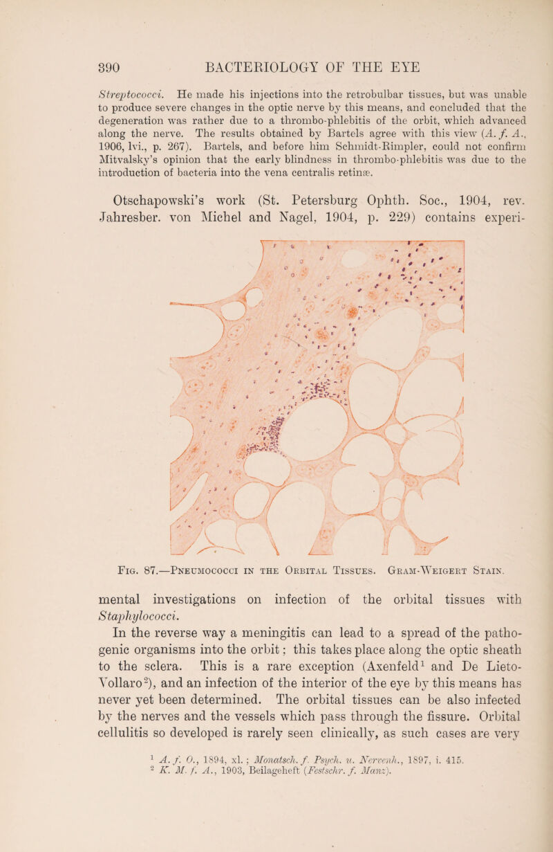 Streptococci. He made his injections into the retrobulbar tissues, but was unable to produce severe changes in the optic nerve by this means, and concluded that the degeneration was rather due to a thrombo-phlebitis of the orbit, which advanced along the nerve. The results obtained by Bartels agree with this view (A. f. A., 1906, lvi., p. 267). Bartels, and before him Schmidt-Rimpler, could not confirm Mitvalsky’s opinion that the early blindness in thrombo-phlebitis was due to the introduction of bacteria into the vena centralis retinae. Otschapowski’s work (St. Petersburg Ophth. Soc., 1904, rev. Jahresber. von Michel and Nagel, 1904, p. 229) contains experi- Fig. 87.—Pneumococci in the Orbital Tissues. Gram-Weigert Stain. mental investigations on infection of the orbital tissues with Staphylococci. In the reverse way a meningitis can lead to a spread of the patho¬ genic organisms into the orbit; this takes place along the optic sheath to the sclera. This is a rare exception (Axenfeld1 and De Lieto- Yollaro2), and an infection of the interior of the eye by this means has never yet been determined. The orbital tissues can be also infected by the nerves and the vessels which pass through the fissure. Orbital cellulitis so developed is rarely seen clinically, as such cases are very 1 A. f. 0., 1894, xl. ; Monatsch. f. Psych, u. Nervenh., 1897, i. 415. 2 K. M. f. A., 1903, Beilageheft (Festschr. f. Manz).