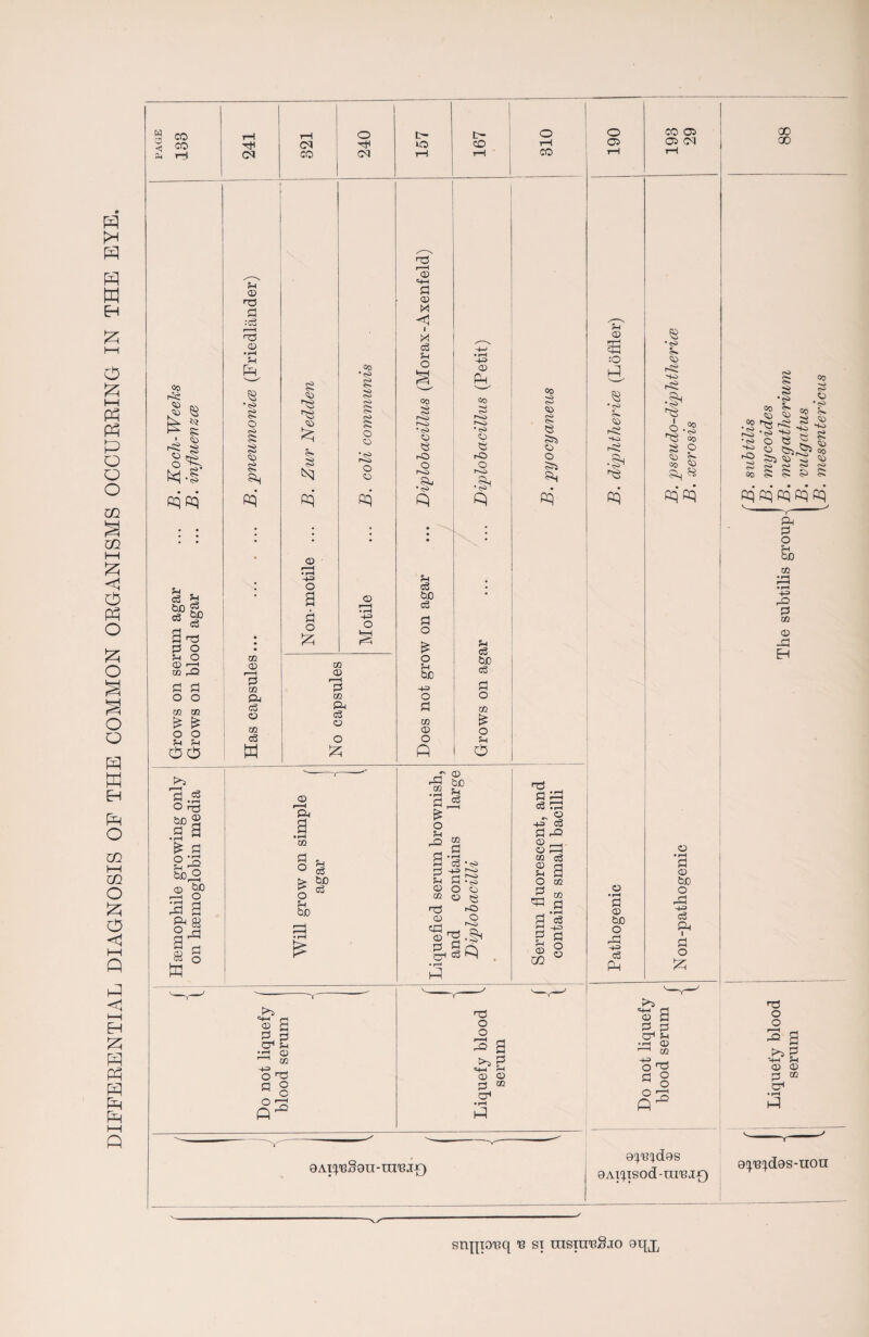 DIFFERENTIAL DIAGNOSIS OF THE COMMON ORGANISMS OCCURRING IN THE EYE. § CO < CO v r-1 00 Jo $ g §1> * Rp«q v , c3 H * B no P O Vi O ® no co ,-Q P P o o co co £ £ o o Vl Vl ^ kU) 3 .g o rö bß § .3 3 £ a bio A o a a sä in P o rH rH o t- nH pi •H UO CO (M CO CM rH tH V CD no P :c8 r—H no ® • rH VI g o g g PC) co CD E to & c3 O CO CÖ w g <o '■g <33 g N pq ® • rH o P o £; oo •c» g g c*<* C- o o '<>> r-»o O O pq © r—I • rH +=> o co CD 3 co P-1 c3 <a o £ <D 'Ei B • rH co P O £ o Vi bß V c3 bo c3 no r—H <D «4H p 03 < I X c3 Vi O CO g r^o rO O r^> *<5* CD Ph Co ~o r^o r^o •<S> o r^p> Vi c3 bß cö P o £ o V bß -v> O P CO CD O ft V CÖ bß c3 P O co £ O V o rP CO • rH P £ O V rP O bß v c3 co 3'1-s P-g- O O V D co h0 o Cp r-o * 5s <ü e 1-0 o &|C1 • r—1 Pn> <4-1 ® P cP +=> o p o Ö P v ® CO nO O O no o o 3 a V CD O CO CP 9AI^'B§9U-OT,BJ£) O rH CO o 03 co -o <53 g e gs o >3 ÄH Pq HÖ . p 3 ce pi „ ö ^ c3 P P <D co eg 2 a o p PI co co P $ ce S -+° a p o o ® v ® 3 :0 H $ V. <53 pq o • rH P ® bß o Pi -5-= o3 Ph CO 03 03 PI GO CO $ ‘«a V- <53 •ca1 4-1 CO ^ Ph 8 ßqßq co eO o _ g g •cS .S co p or, L <t) 53 2 S -S P rP ^ -2 'S s •cO Cl Ä P P r-^s * >« 2? •ti O S 3- t ^ P3 <53 PS <0 ^ ^ ^ ^ ^ OD g g ^ 5 cq Pq pq Pq’ Pq Ph p o V bß co P3 P co ® -P EH o • rH P ® bß o Pi -l-=> ce 3 P o P*3 <m-i rj ® P 3 ^ CJ1 V • rH 03 1—1 CO O ^ p ° ^ o (S3 9^'B;d9S 9AI^IS0d-ra,BI£) no o o ^ s P>3 g *4-t ?H (X) <D p Ul C71 9q.'B^d9s-n°n sn^io'eq 'B si iiisiu'bSjo gqjj