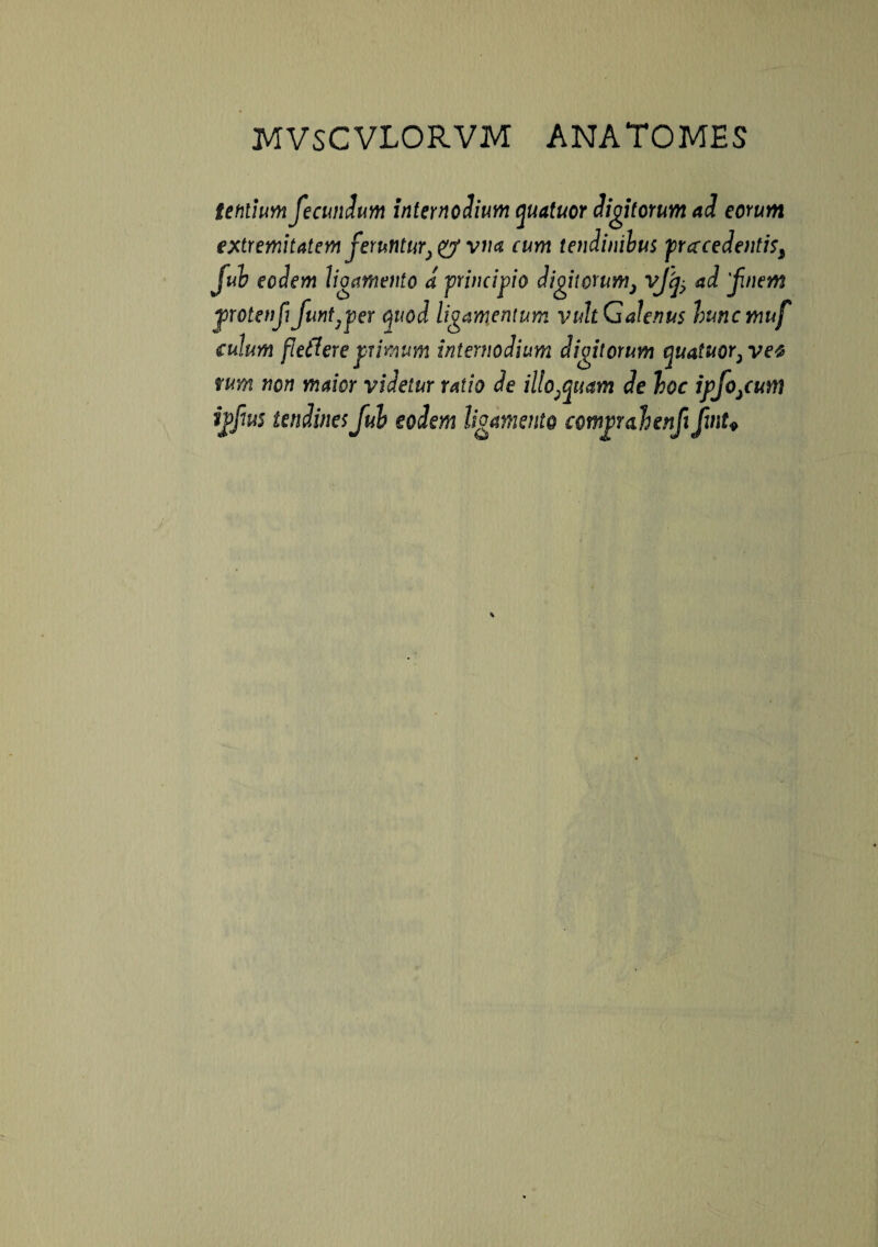 lentium fecundum internodium quatuor digitorum ad eorum extremitatem feruntur} & vna cum tendinibus pracedentis, fui eodem ligamento d principio digitorum, vjfy ad 'fnem protenfifunt,ver quod ligamentum vultGalenus huncmuf culum fle fler e primum internodium digitorum quatuor, vet tum non maior videtur ratio de illo,quam de hoc ipfo/um ipfiu5 tendines Juh eodem ligamento wmprahenfi fwt»