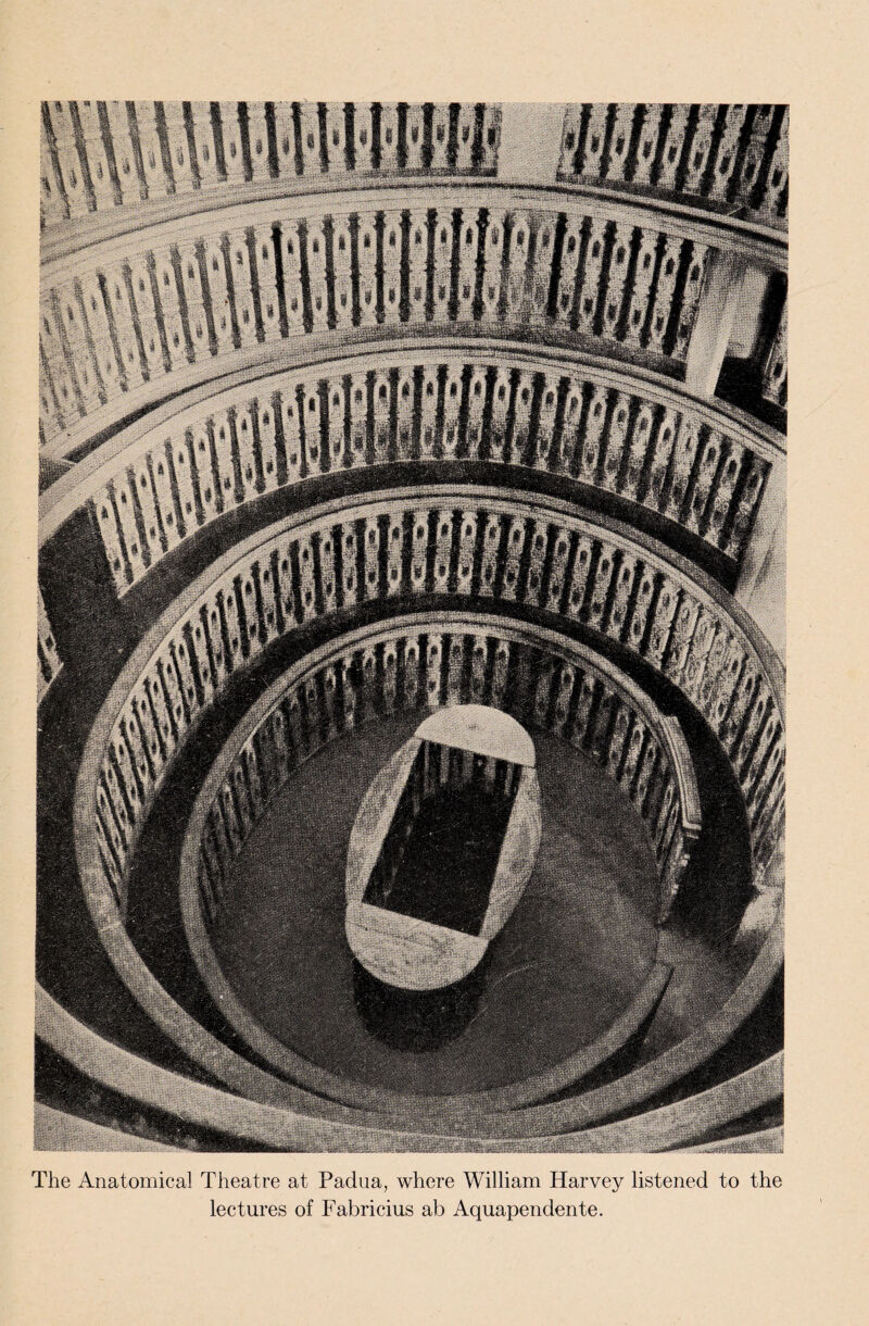 The Anatomical Theatre at Padua, where William Harvey listened to the lectures of Fabricius ab Aquapendente.