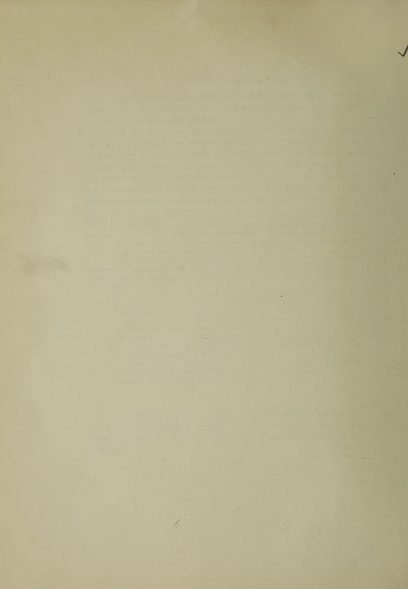 >< ' • Ä- *>;* 1 - vMI