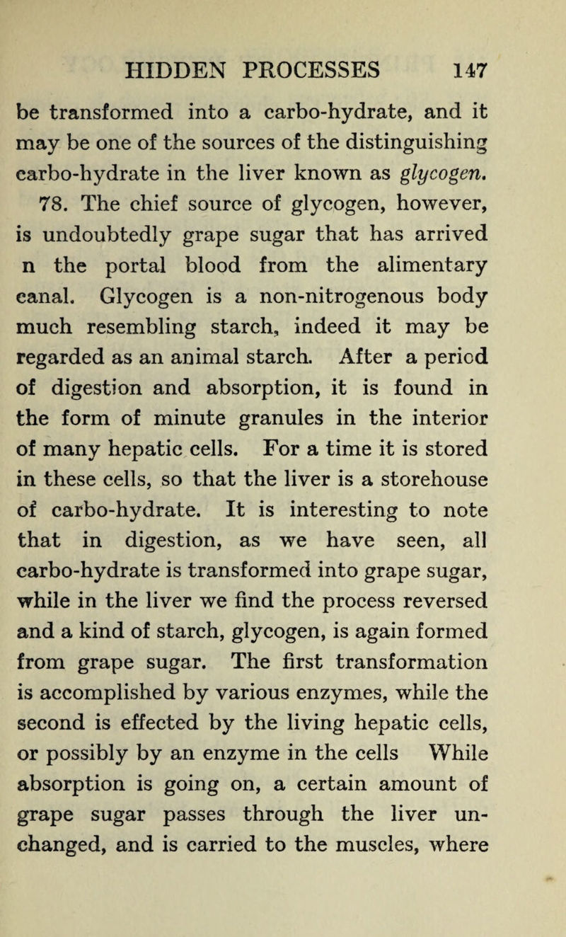 be transformed into a carbo-hydrate, and it may be one of the sources of the distinguishing carbo-hydrate in the liver known as glycogen, 78. The chief source of glycogen, however, is undoubtedly grape sugar that has arrived n the portal blood from the alimentary canal. Glycogen is a non-nitrogenous body much resembling starch, indeed it may be regarded as an animal starch. After a period of digestion and absorption, it is found in the form of minute granules in the interior of many hepatic cells. For a time it is stored in these cells, so that the liver is a storehouse of carbo-hydrate. It is interesting to note that in digestion, as we have seen, all carbo-hydrate is transformed into grape sugar, while in the liver we find the process reversed and a kind of starch, glycogen, is again formed from grape sugar. The first transformation is accomplished by various enzymes, while the second is effected by the living hepatic cells, or possibly by an enzyme in the cells While absorption is going on, a certain amount of grape sugar passes through the liver un¬ changed, and is carried to the muscles, where