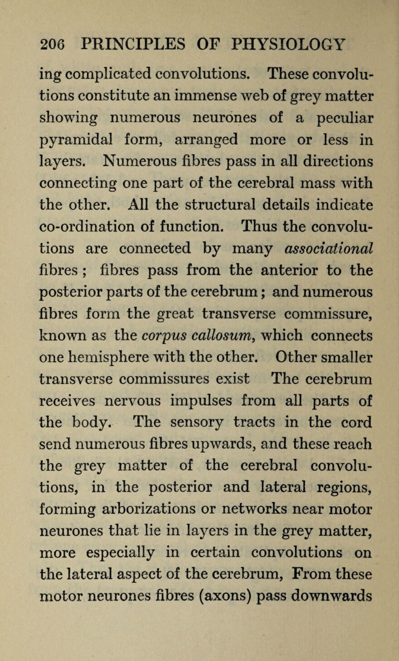 ing complicated convolutions. These convolu¬ tions constitute an immense web of grey matter showing numerous neurones of a peculiar pyramidal form, arranged more or less in layers. Numerous fibres pass in all directions connecting one part of the cerebral mass with the other. All the structural details indicate co-ordination of function. Thus the convolu¬ tions are connected by many associational fibres ; fibres pass from the anterior to the posterior parts of the cerebrum; and numerous fibres form the great transverse commissure, known as the corpus callosum, which connects one hemisphere with the other. Other smaller transverse commissures exist The cerebrum receives nervous impulses from all parts of the body. The sensory tracts in the cord send numerous fibres upwards, and these reach the grey matter of the cerebral convolu¬ tions, in the posterior and lateral regions, forming arborizations or networks near motor neurones that lie in layers in the grey matter, more especially in certain convolutions on the lateral aspect of the cerebrum, From these motor neurones fibres (axons) pass downwards