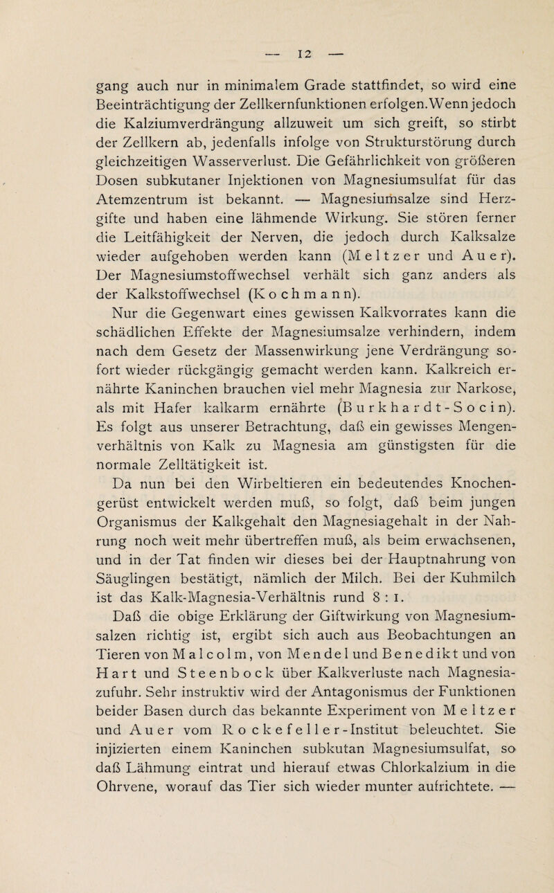 gang auch nur in minimalem Grade stattfindet, so wird eine Beeinträchtigung der Zellkernfunktionen erfolgen. Wenn jedoch die Kalziumverdrängung allzuweit um sich greift, so stirbt der Zellkern ab, jedenfalls infolge von Strukturstörung durch gleichzeitigen Wasserverlust. Die Gefährlichkeit von größeren Dosen subkutaner Injektionen von Magnesiumsulfat für das Atemzentrum ist bekannt. — Magnesiumsalze sind Herz¬ gifte und haben eine lähmende Wirkung. Sie stören ferner die Leitfähigkeit der Nerven, die jedoch durch Kalksalze wieder aufgehoben werden kann (M e 11 z e r und Auer). Der Magnesiumstoffwechsel verhält sich ganz anders als der Kalkstoffwechsel (Koch mann). Nur die Gegenwart eines gewissen Kalkvorrates kann die schädlichen Effekte der Magnesiumsalze verhindern, indem nach dem Gesetz der Massenwirkung jene Verdrängung so¬ fort wieder rückgängig gemacht werden kann. Kalkreich er¬ nährte Kaninchen brauchen viel mehr Magnesia zur Narkose, als mit Hafer kalkarm ernährte (Burkhardt-Socin). Es folgt aus unserer Betrachtung, daß ein gewisses Mengen¬ verhältnis von Kalk zu Magnesia am günstigsten für die normale Zelltätigkeit ist. Da nun bei den Wirbeltieren ein bedeutendes Knochen¬ gerüst entwickelt werden muß, so folgt, daß beim jungen Organismus der Kalkgehalt den Magnesiagehalt in der Nah¬ rung noch weit mehr übertreffen muß, als beim erwachsenen, und in der Tat finden wir dieses bei der Hauptnahrung von Säuglingen bestätigt, nämlich der Milch. Bei der Kuhmilch ist das Kalk-Magnesia-Verhältnis rund 8 : i. Daß die obige Erklärung der Giftwirkung von Magnesium¬ salzen richtig ist, ergibt sich auch aus Beobachtungen an Tieren von Malcolm, von Mendel und Benedikt und von Hart und Steenbock über Kalkverluste nach Magnesia¬ zufuhr. Sehr instruktiv wird der Antagonismus der Funktionen beider Basen durch das bekannte Experiment von Meitzer und Auer vom R o c k e f e 11 e r - Institut beleuchtet. Sie injizierten einem Kaninchen subkutan Magnesiumsulfat, so daß Lähmung eintrat und hierauf etwas Chlorkalzium in die Ohrvene, worauf das Tier sich wieder munter aufrichtete. —