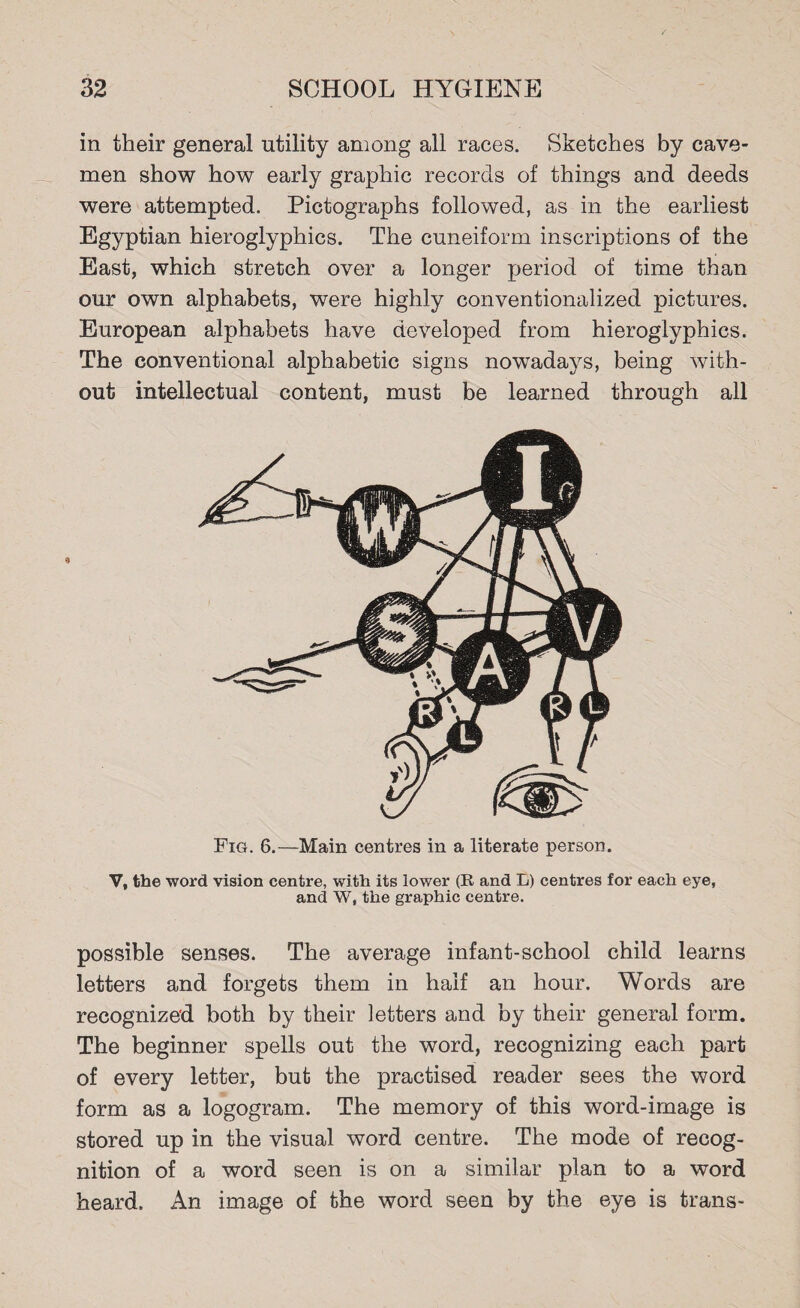 in their general utility among all races. Sketches by cave¬ men show how early graphic records of things and deeds were attempted. Pictographs followed, as in the earliest Egyptian hieroglyphics. The cuneiform inscriptions of the East, which stretch over a longer period of time than our own alphabets, were highly conventionalized pictures. European alphabets have developed from hieroglyphics. The conventional alphabetic signs nowadays, being with¬ out intellectual content, must be learned through all Fig. 6.—Main centres in a literate person. V, the word vision centre, with its lower (R and L) centres for each eye, and W, the graphic centre. possible senses. The average infant-school child learns letters and forgets them in half an hour. Words are recognized both by their letters and by their general form. The beginner spells out the word, recognizing each part of every letter, but the practised reader sees the word form as a logogram. The memory of this word-image is stored up in the visual word centre. The mode of recog¬ nition of a word seen is on a similar plan to a word heard. An image of the word seen by the eye is trans-