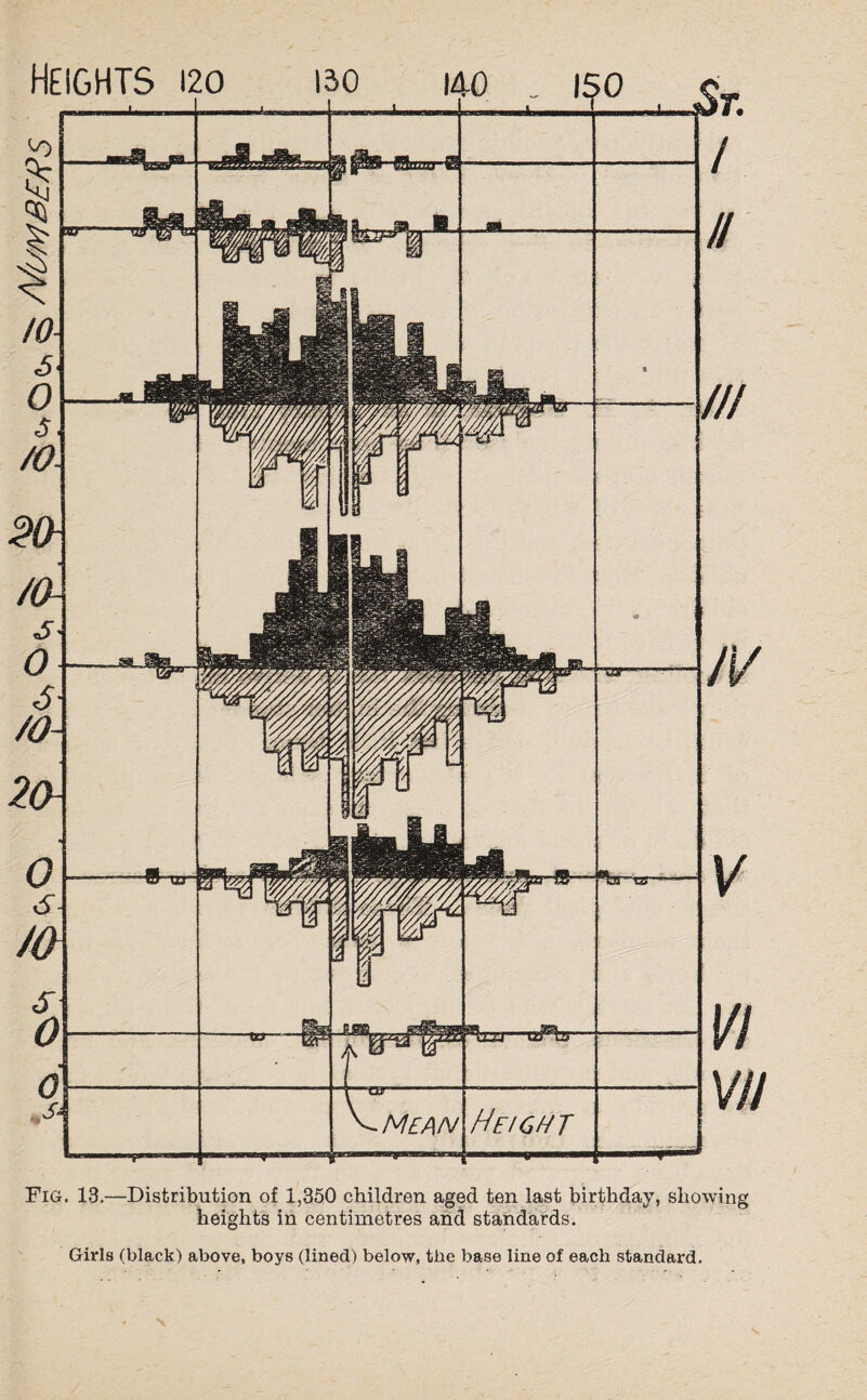 Heights 120 150 Fig. 13.—Distribution of 1,350 children aged ten last birthday, showing heights in centimetres and standards. Girls (black) above, boys (lined) below, the base line of each standard.