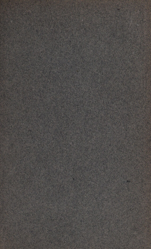 digitised image 3