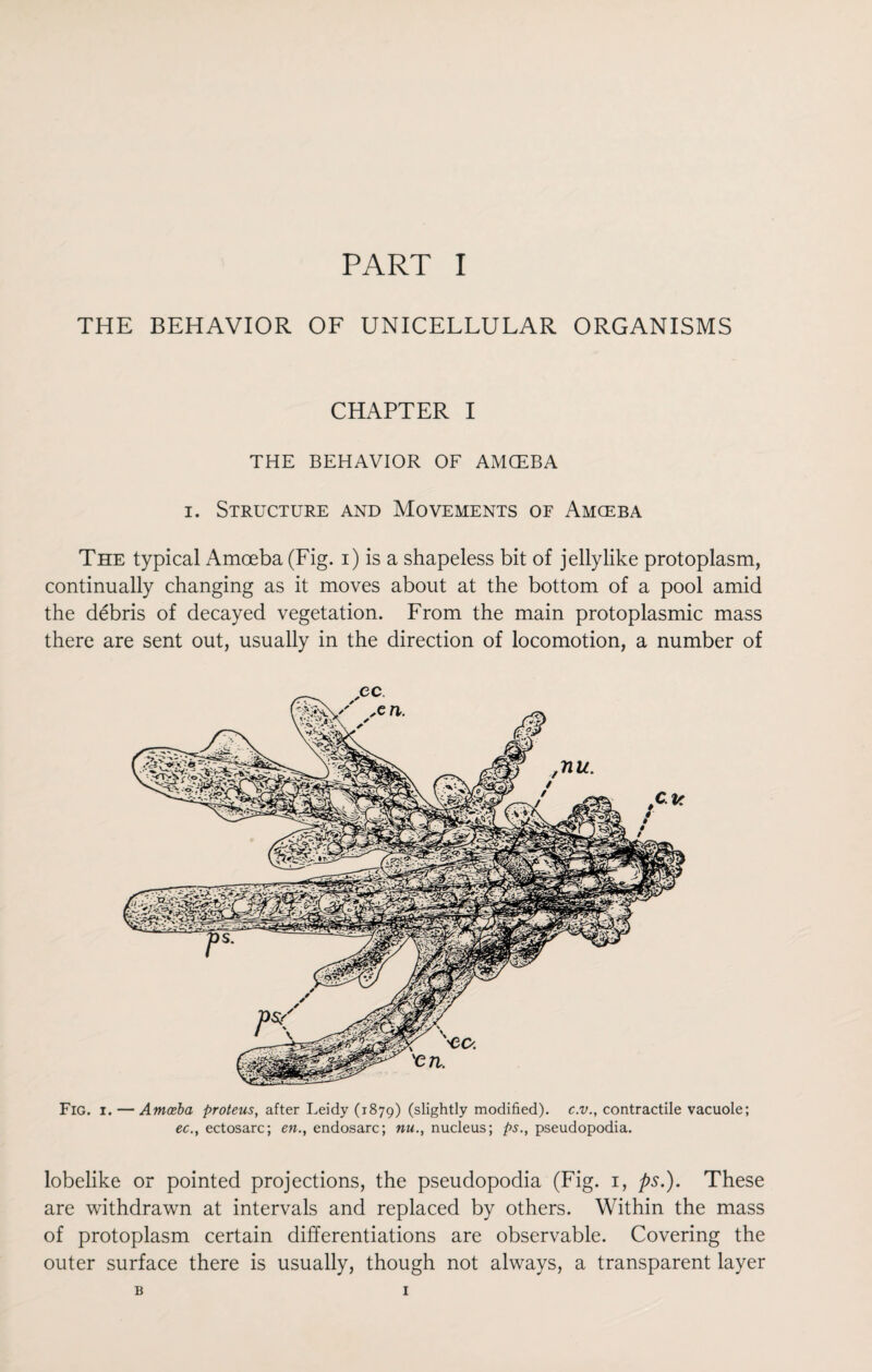 THE BEHAVIOR OF UNICELLULAR ORGANISMS CHAPTER I THE BEHAVIOR OF AMCEBA i. Structure and Movements of Amceba The typical Amoeba (Fig. i) is a shapeless bit of jellylike protoplasm, continually changing as it moves about at the bottom of a pool amid the debris of decayed vegetation. From the main protoplasmic mass there are sent out, usually in the direction of locomotion, a number of Fig. i. — Amoeba proteus, after Leidy (1879) (slightly modified), c.v., contractile vacuole; ec., ectosarc; enendosarc; nu., nucleus; ps., pseudopodia. lobelike or pointed projections, the pseudopodia (Fig. i, ps.). These are withdrawn at intervals and replaced by others. Within the mass of protoplasm certain differentiations are observable. Covering the outer surface there is usually, though not always, a transparent layer B I