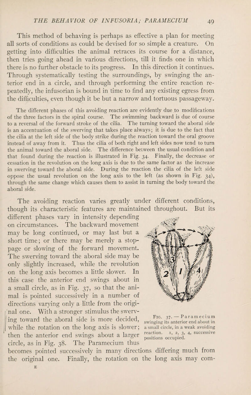 This method of behaving is perhaps as effective a plan for meeting all sorts of conditions as could be devised for so simple a creature. On getting into difficulties the animal retraces its course for a distance, then tries going ahead in various directions, till it finds one in which there is no further obstacle to its progress. In this direction it continues. Through systematically testing the surroundings, by swinging the an¬ terior end in a circle, and through performing the entire reaction re¬ peatedly, the infusorian is bound in time to find any existing egress from the difficulties, even though it be but a narrow and tortuous passageway. The different phases of this avoiding reaction are evidently due to modifications of the three factors in the spiral course. The swimming backward is due of course to a reversal of the forward stroke of the cilia. The turning toward the aboral side is an accentuation of the swerving that takes place always; it is due to the fact that the cilia at the left side of the body strike during the reaction toward the oral groove instead of away from it. Thus the cilia of both right and left sides now tend to turn the animal toward the aboral side. The difference between the usual condition and that found during the reaction is illustrated in Fig. 34. Finally, the decrease or cessation in the revolution on the long axis is due to the same factor as the increase in swerving toward the aboral side. During the reaction the cilia of the left side oppose the usual revolution on the long axis to the left (as shown in Fig. 34), through the same change which causes them to assist in turning the body toward the aboral side. The avoiding reaction varies greatly under different conditions, though its characteristic features are maintained throughout. But its different phases vary in intensity depending on circumstances. The backward movement may be long continued, or may last but a short time; or there may be merely a stop¬ page or slowing of the forward movement. The swerving toward the aboral side may be only slightly increased, while the revolution on the long axis becomes a little slower. In this case the anterior end swings about in a small circle, as in Fig. 37, so that the ani¬ mal is pointed successively in a number of directions varying only a little from the origi¬ nal one. With a stronger stimulus the swerv¬ ing toward the aboral side is more decided, while the rotation on the long axis is slower; then the anterior end swings about a larger circle, as in Fig. 38. The Paramecium thus becomes pointed successively in many directions differing much from the original one. Finally, the rotation on the long axis may com- Fig. 37. — Paramecium swinging its anterior end about in a small circle, in a weak avoiding reaction. 1, 2, 3, 4, successive positions occupied. E