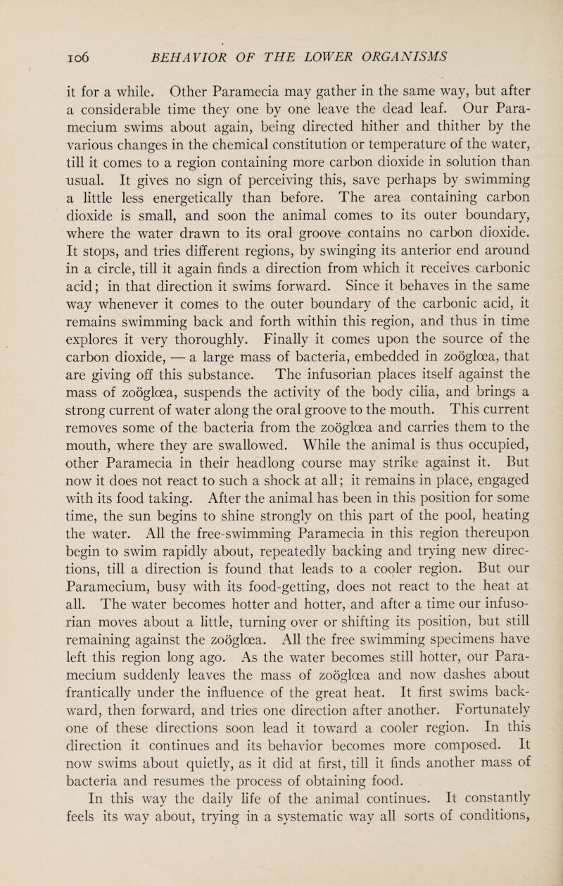 it for a while. Other Paramecia may gather in the same way, but after a considerable time they one by one leave the dead leaf. Our Para¬ mecium swims about again, being directed hither and thither by the various changes in the chemical constitution or temperature of the water, till it comes to a region containing more carbon dioxide in solution than usual. It gives no sign of perceiving this, save perhaps by swimming a little less energetically than before. The area containing carbon dioxide is small, and soon the animal comes to its outer boundary, where the water drawn to its oral groove contains no carbon dioxide. It stops, and tries different regions, by swinging its anterior end around in a circle, till it again finds a direction from which it receives carbonic acid; in that direction it swims forward. Since it behaves in the same way whenever it comes to the outer boundary of the carbonic acid, it remains swimming back and forth within this region, and thus in time explores it very thoroughly. Finally it comes upon the source of the carbon dioxide, — a large mass of bacteria, embedded in zooglcea, that are giving off this substance. The infusorian places itself against the mass of zooglcea, suspends the activity of the body cilia, and brings a strong current of water along the oral groove to the mouth. This current removes some of the bacteria from the zoogloea and carries them to the mouth, where they are swallowed. While the animal is thus occupied, other Paramecia in their headlong course may strike against it. But now it does not react to such a shock at all; it remains in place, engaged with its food taking. After the animal has been in this position for some time, the sun begins to shine strongly on this part of the pool, heating the water. All the free-swimming Paramecia in this region thereupon begin to swim rapidly about, repeatedly backing and trying new direc¬ tions, till a direction is found that leads to a cooler region. But our Paramecium, busy with its food-getting, does not react to the heat at all. The water becomes hotter and hotter, and after a time our infuso¬ rian moves about a little, turning over or shifting its position, but still remaining against the zoogloea. All the free swimming specimens have left this region long ago. As the water becomes still hotter, our Para¬ mecium suddenly leaves the mass of zoogloea and now dashes about frantically under the influence of the great heat. It first swims back¬ ward, then forward, and tries one direction after another. Fortunately one of these directions soon lead it toward a cooler region. In this direction it continues and its behavior becomes more composed. It now swims about quietly, as it did at first, till it finds another mass of bacteria and resumes the process of obtaining food. In this way the daily life of the animal continues. It constantly feels its way about, trying in a systematic way all sorts of conditions,