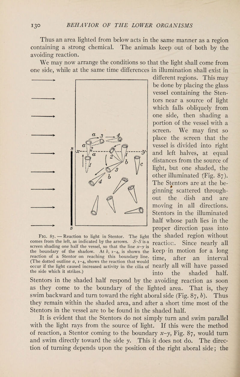 a 3 ■ hx 5 £ -v :tt« — Thus an area lighted from below acts in the same manner as a region containing a strong chemical. The animals keep out of both by the avoiding reaction. We may now arrange the conditions so that the light shall come from one side, while at the same time differences in illumination shall exist in different regions. This may be done by placing the glass vessel containing the Sten- tors near a source of light which falls obliquely from one side, then shading a portion of the vessel with a screen. We may first so place the screen that the vessel is divided into right and left halves, at equal distances from the source of light, but one shaded, the other illuminated {Fig. 87). The Stentors are at the be¬ ginning scattered through¬ out the dish and are moving in all directions. Stentors in the illuminated half whose path lies in the proper direction pass into Fig. 87. — Reaction to light in Stentor. The light the shaded region without comes from the left as indicated by the arrows. S-S is a reaction. Since nearly all screen shading one half the vessel, so that the line x-y is . . J the boundary of the shadow. At b, 1-4, is shown the keep m motion for a long reaclicn of a Stentor on reaching this boundary line time after an interval (1 he dotted outline a, 1-4, shows the reaction that would occur if the light caused increased activity in the cilia of nearly all will have passed the side which it strikes.) into the shaded half. Stentors in the shaded half respond by the avoiding reaction as soon as they come to the boundary of the lighted area. That is, they swim backward and turn toward the right aboral side (Fig. 87, b). Thus they remain within the shaded area, and after a short time most of the Stentors in the vessel are to be found in the shaded half. It is evident that the Stentors do not simply turn and swim parallel with the light rays from the source of light. If this were the method of reaction, a Stentor coming to the boundary x-y, Fig. 87, would turn and swim directly toward the side y. This it does not do. The direc¬ tion of turning depends upon the position of the right aboral side; the