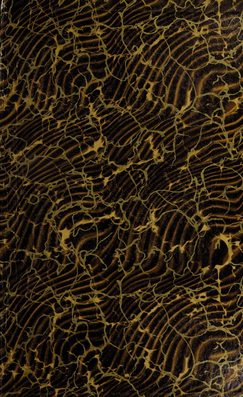 w Mr ■ inf,, - ^ 'iffil K afflr^gK Wst--1*^%ftM&*r**** Tjffitggj i F*y- .^l • •• | „*r <rf H9T ^ '■ *■•'. ^ £j gpP^ -; jB^' ^■Sf .' ,4^5 A .jjj tv . gf;,- i%£irj&: Jtj WwzL ^jtizM Jm9/' ■*&* PUPP'-