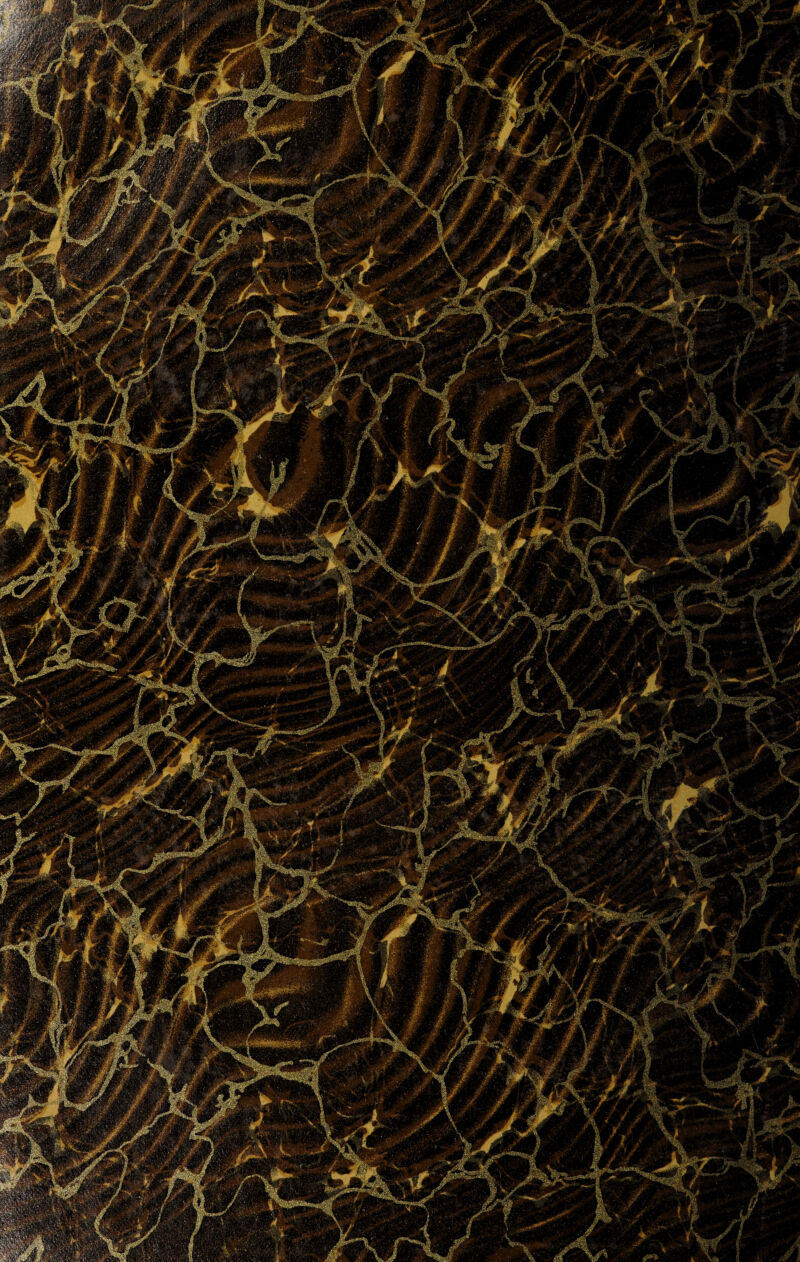 4ps \ • f* '); . . / . ‘ \ i £v 1 1 .1'. ■ /®jj(k ’ , -: ■ X f • :*<; E ■ ■? : \ : JBi