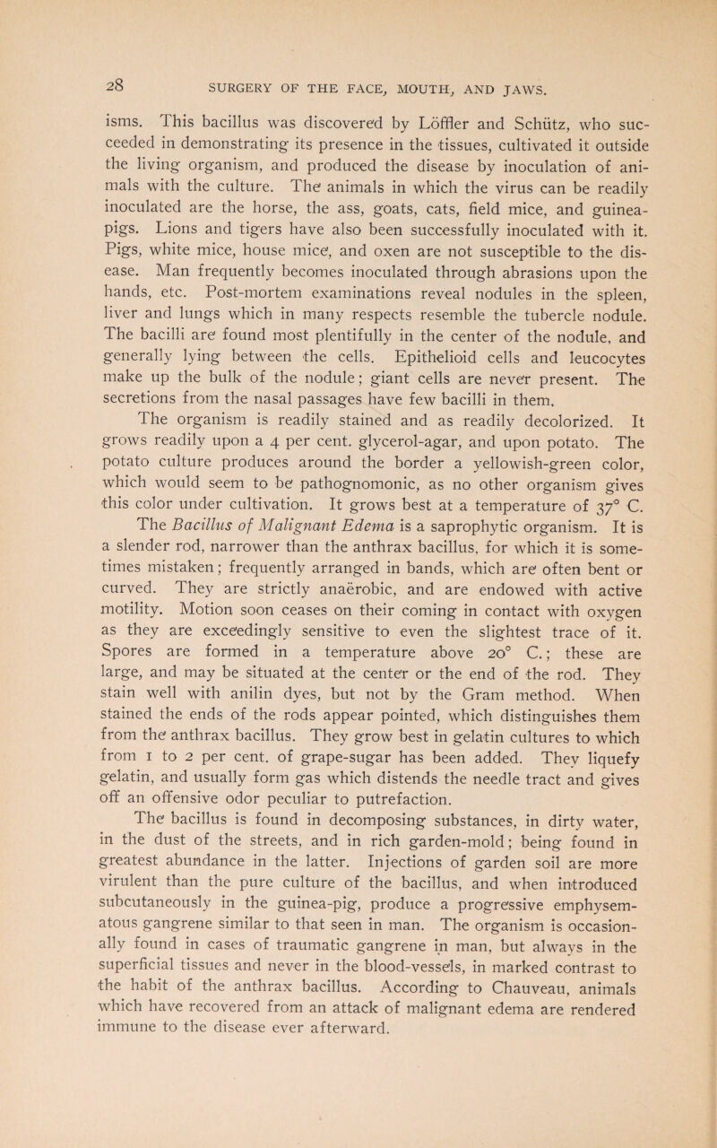 isms. This bacillus was discovered by Loffler and Schutz, who suc¬ ceeded in demonstrating its presence in the tissues, cultivated it outside the living organism, and produced the disease by inoculation of ani¬ mals with the culture. The animals in which the virus can be readily inoculated are the horse, the ass, goats, cats, field mice, and guinea- pigs. Lions and tigers have also been successfully inoculated with it. Pigs, white mice, house mice, and oxen are not susceptible to the dis¬ ease. Man frequently becomes inoculated through abrasions upon the hands, etc. Post-mortem examinations reveal nodules in the spleen, liver and lungs which in many respects resemble the tubercle nodule. The bacilli are found most plentifully in the center of the nodule, and generally lying between the cells. Epithelioid cells and leucocytes make up the bulk of the nodule; giant cells are never present. The secretions from the nasal passages have few bacilli in them. The organism is readily stained and as readily decolorized. It grows readily upon a 4 per cent, glycerol-agar, and upon potato. The potato culture produces around the border a yellowish-green color, which would seem to be' pathognomonic, as no other organism gives this color under cultivation. It grows best at a temperature of 370 C. The Bacillus of Malignant Edema is a saprophytic organism. It is a slender rod, narrower than the anthrax bacillus, for which it is some¬ times mistaken; frequently arranged in bands, which are often bent or curved. They are strictly anaerobic, and are endowed with active motility. Motion soon ceases on their coming in contact with oxygen as they are exceedingly sensitive to even the slightest trace of it. Spores are formed in a temperature above 20° C.; these are large, and may be situated at the center or the end of the rod. They stain well with anilin dyes, but not by the Gram method. When stained the ends of the rods appear pointed, which distinguishes them from the anthrax bacillus. They grow best in gelatin cultures to which from 1 to 2 per cent, of grape-sugar has been added. Thev liquefy gelatin, and usually form gas which distends the needle tract and gives off an offensive odor peculiar to putrefaction. The bacillus is found in decomposing substances, in dirty water, in the dust of the streets, and in rich garden-mold; being found in greatest abundance in the latter. Injections of garden soil are more virulent than the pure culture of the bacillus, and when introduced subcutaneously in the guinea-pig, produce a progressive emphysem¬ atous gangrene similar to that seen in man. The organism is occasion¬ ally found in cases of traumatic gangrene in man, but always in the superficial tissues and never in the blood-vessels, in marked contrast to the habit of the anthrax bacillus. According to Chauveau, animals which have recovered from an attack of malignant edema are rendered immune to the disease ever afterward.