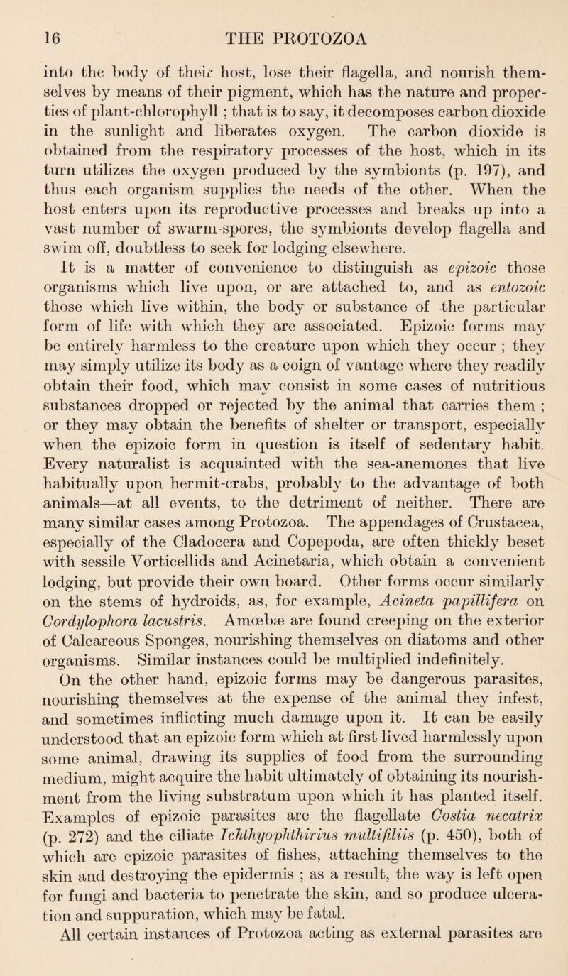 into the body of their host, lose their flagella, and nourish them¬ selves by means of their pigment, which has the nature and proper¬ ties of plant-chlorophyll ; that is to say, it decomposes carbon dioxide in the sunlight and liberates oxygen. The carbon dioxide is obtained from the respiratory processes of the host, which in its turn utilizes the oxygen produced by the symbionts (p. 197), and thus each organism supplies the needs of the other. When the host enters upon its reproductive processes and breaks up into a vast number of swarm-spores, the symbionts develop flagella and swim off, doubtless to seek for lodging elsewhere. It is a matter of convenience to distinguish as epizoic those organisms which live upon, or are attached to, and as entozoic those which live within, the body or substance of the particular form of life with which they are associated. Epizoic forms may be entirely harmless to the creature upon which they occur ; they may simply utilize its body as a coign of vantage where they readily obtain their food, which may consist in some cases of nutritious substances dropped or rejected by the animal that carries them ; or they may obtain the benefits of shelter or transport, especially when the epizoic form in question is itself of sedentary habit. Every naturalist is acquainted with the sea-anemones that live habitually upon hermit-crabs, probably to the advantage of both animals—at all events, to the detriment of neither. There are many similar cases among Protozoa. The appendages of Crustacea, especially of the Cladocera and Copepoda, are often thickly beset with sessile Vorticellids and Acinetaria, which obtain a convenient lodging, but provide their own board. Other forms occur similarly on the stems of hydroids, as, for example, Acineta papillifera on Cordylophora lacustris. Amoebae are found creeping on the exterior of Calcareous Sponges, nourishing themselves on diatoms and other organisms. Similar instances could be multiplied indefinitely. On the other hand, epizoic forms may be dangerous parasites, nourishing themselves at the expense of the animal they infest, and sometimes inflicting much damage upon it. It can be easily understood that an epizoic form which at first lived harmlessly upon some animal, drawing its supplies of food from the surrounding medium, might acquire the habit ultimately of obtaining its nourish¬ ment from the living substratum upon which it has planted itself. Examples of epizoic parasites are the flagellate Costia necatrix (p. 272) and the ciliate Ichthyophthirius multifiliis (p. 450), both of which are epizoic parasites of fishes, attaching themselves to the skin and destroying the epidermis ; as a result, the way is left open for fungi and bacteria to penetrate the skin, and so produce ulcera¬ tion and suppuration, which may be fatal. AH certain instances of Protozoa acting as external parasites are